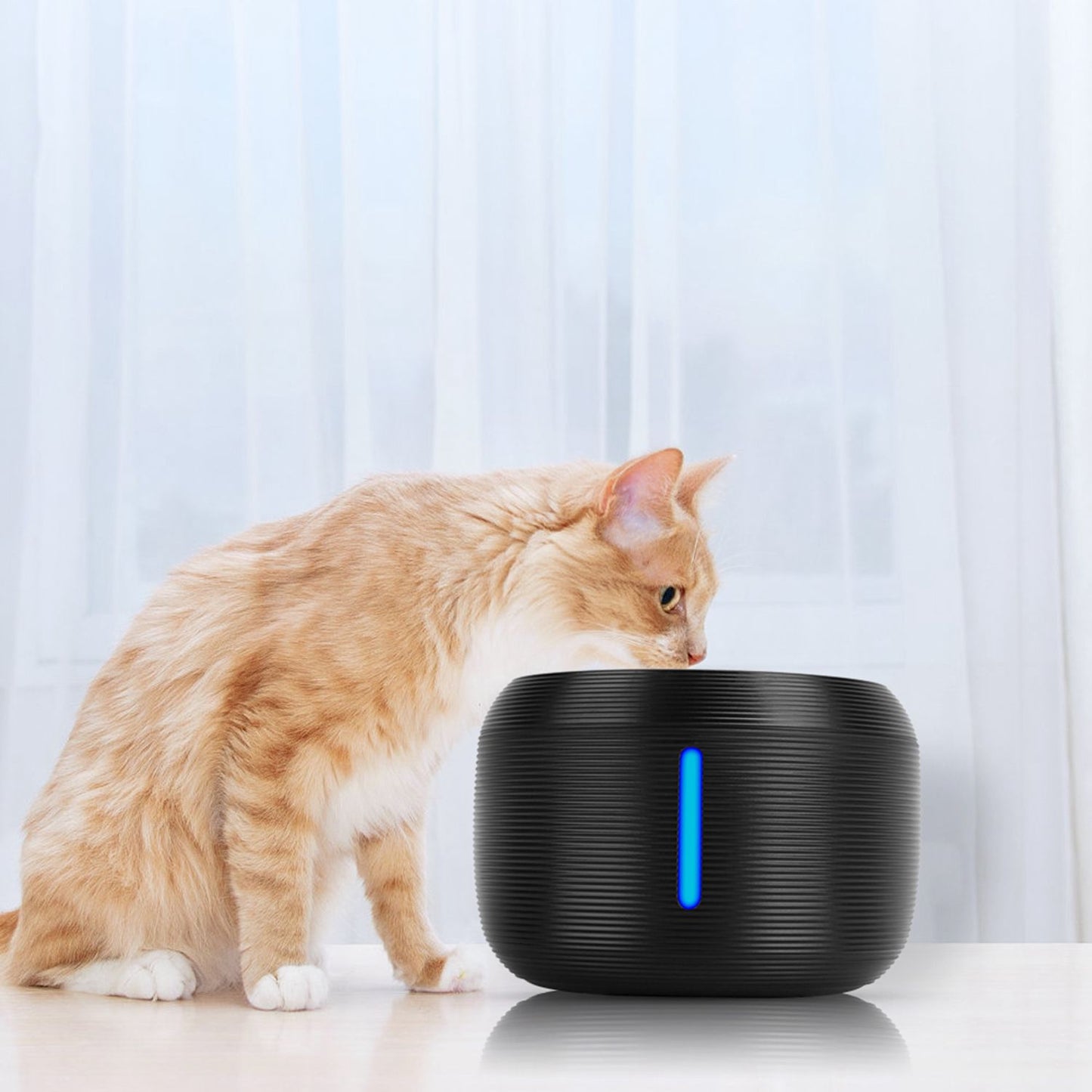 Ginger cat drinking from black pet fountain on a tabletop, showing pet interaction and compact size