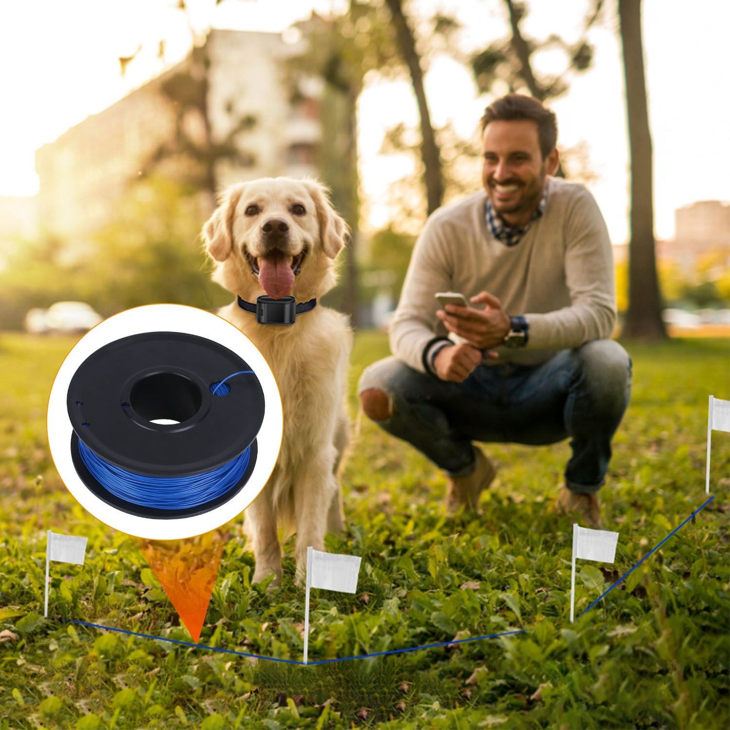 Dog wearing black collar receiver inside flagged boundary with blue wire inset