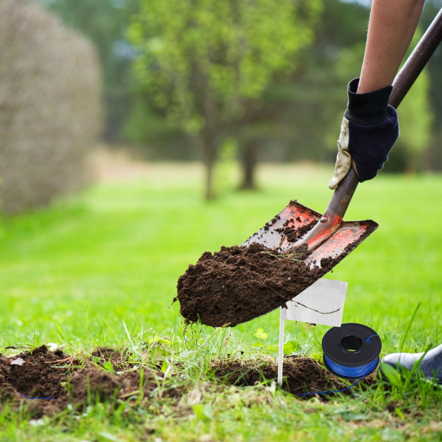 Person digging shallow trench with spool of blue fence wire and training flags in grass