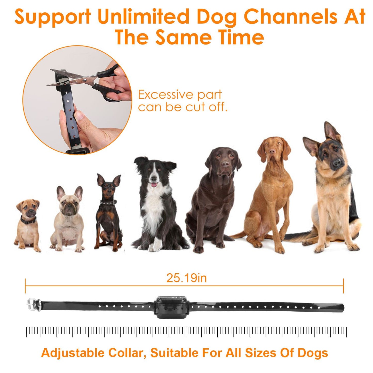 Row of dog breeds with adjustable collar and ruler showing maximum 25.19 inch length
