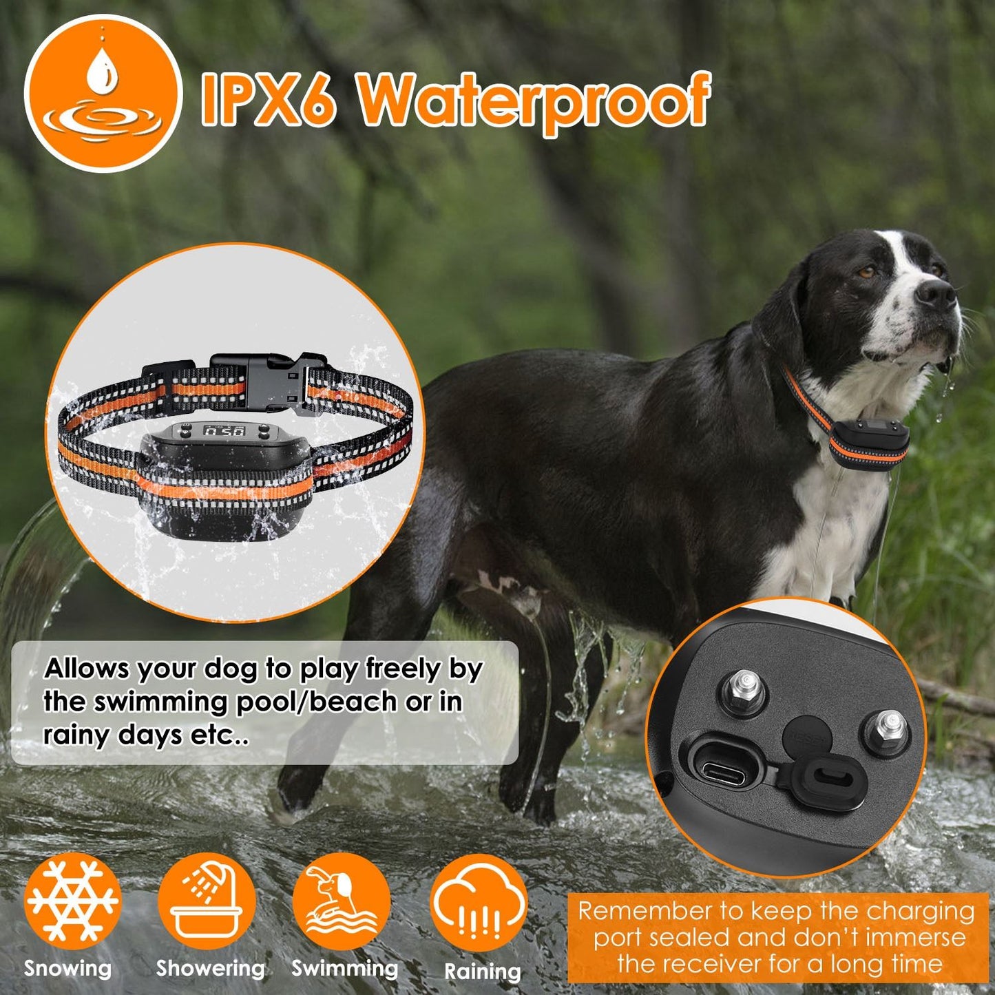 Dog wearing GPS collar in shallow water with inset close-up of sealed charging port and IPX6 label