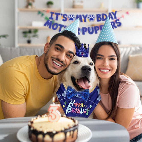 Family scene with dog wearing blue birthday bandana bow tie and crown beside a birthday cake