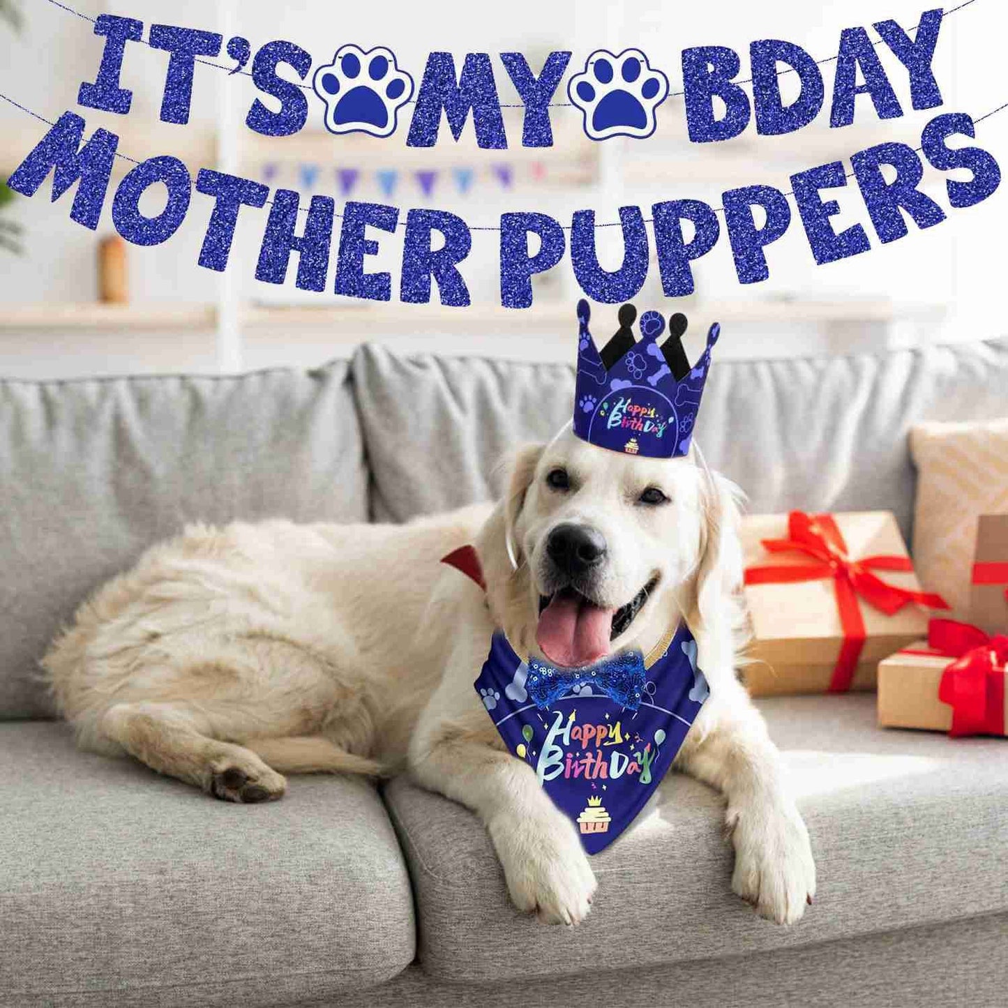 White dog on couch wearing birthday crown bow tie and bandana with banner above and gifts
