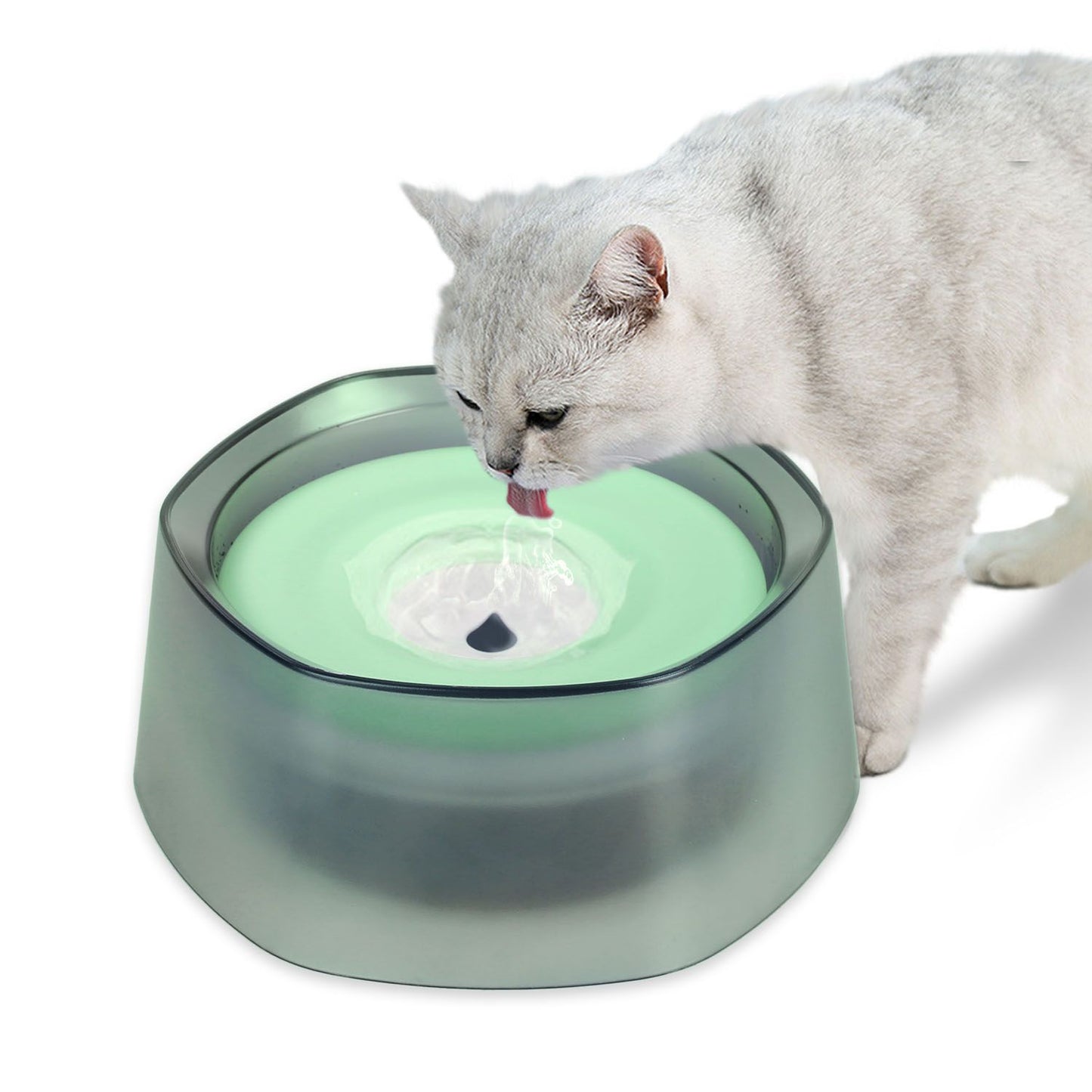 Cat drinking from green-disk spill-proof water bowl with central outlet