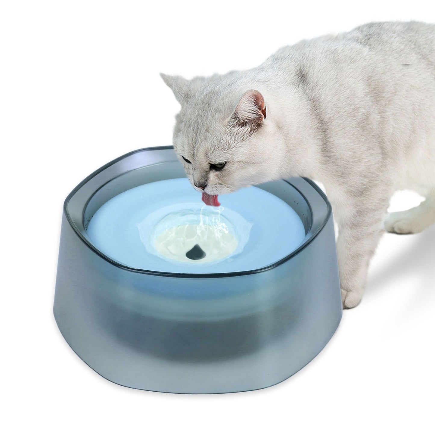 Cat drinking from pale blue-disk bowl with translucent outer wall