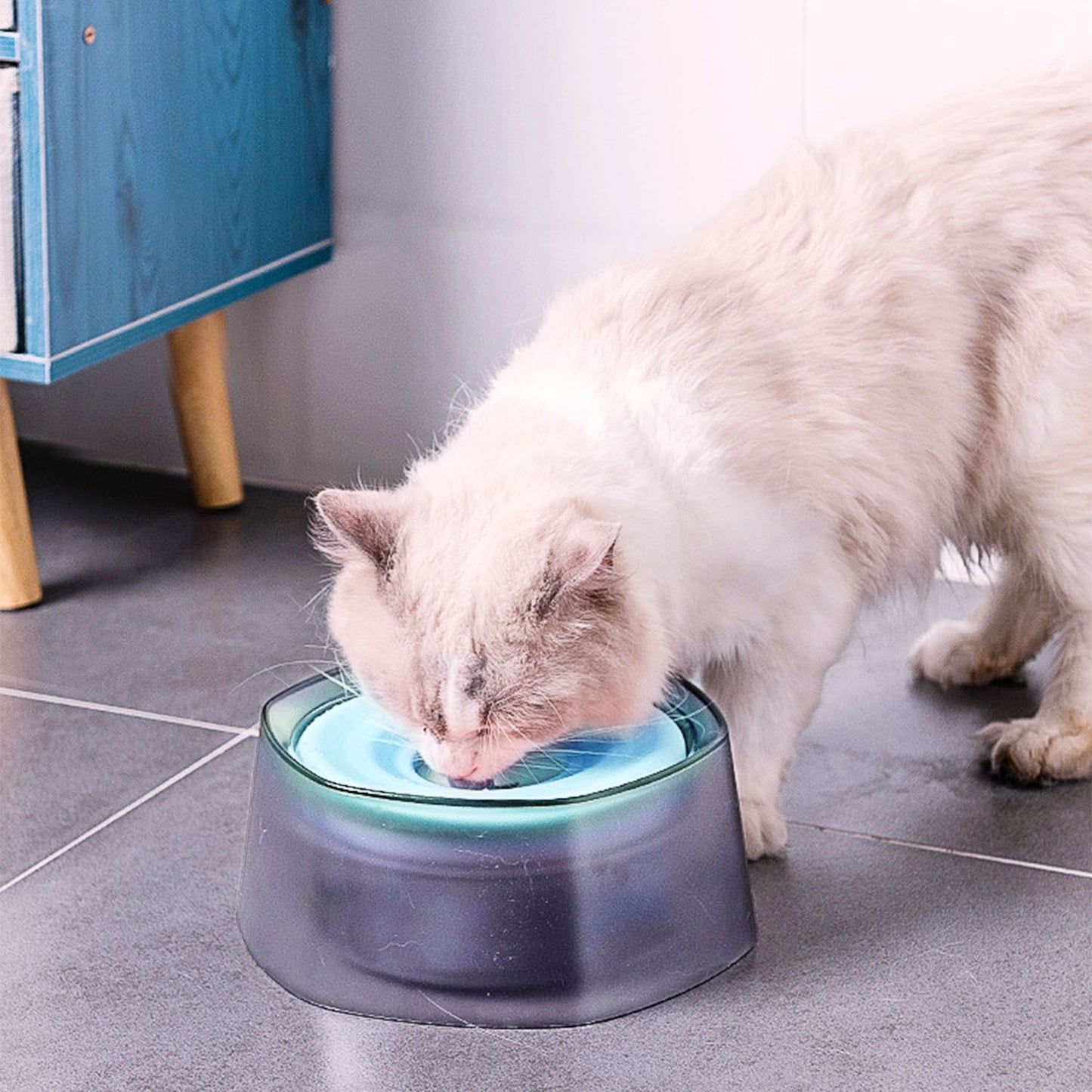 Cat drinking from blue-disk spill-proof bowl on indoor tiles
