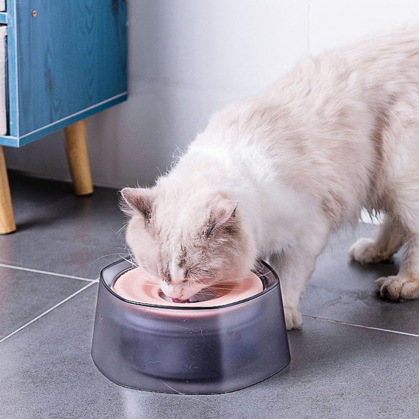 Cat drinking from spill-proof water bowl on indoor tile floor