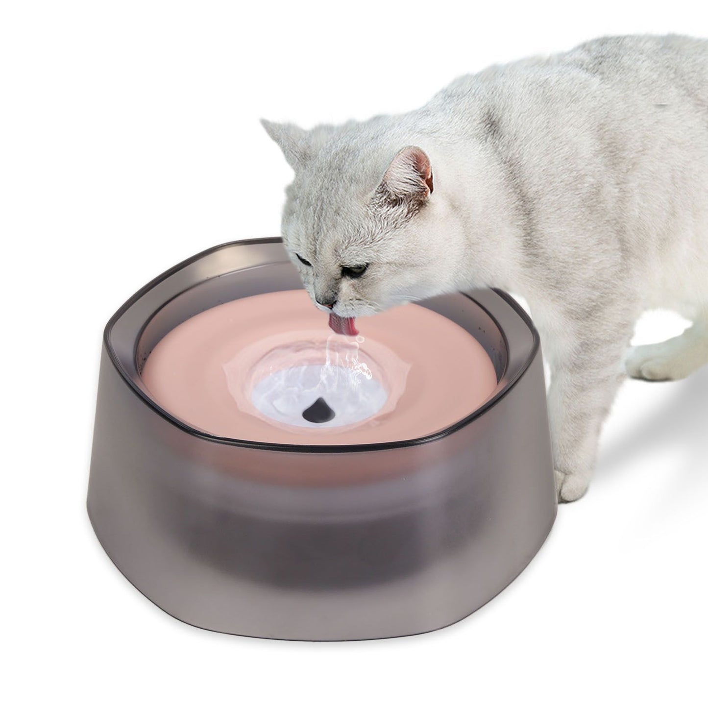 Cat drinking from pink-disk spill-proof water bowl indoors