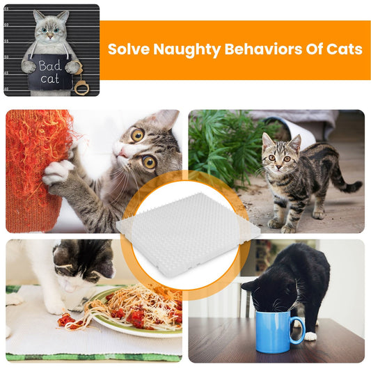 Collage of cat behaviors around a central transparent spiked deterrent mat