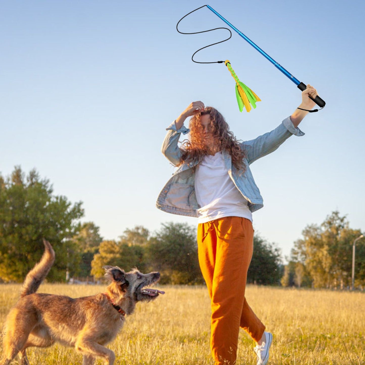 Outdoor training in a field with person holding extended flirt pole while dog focuses on the moving tail toy