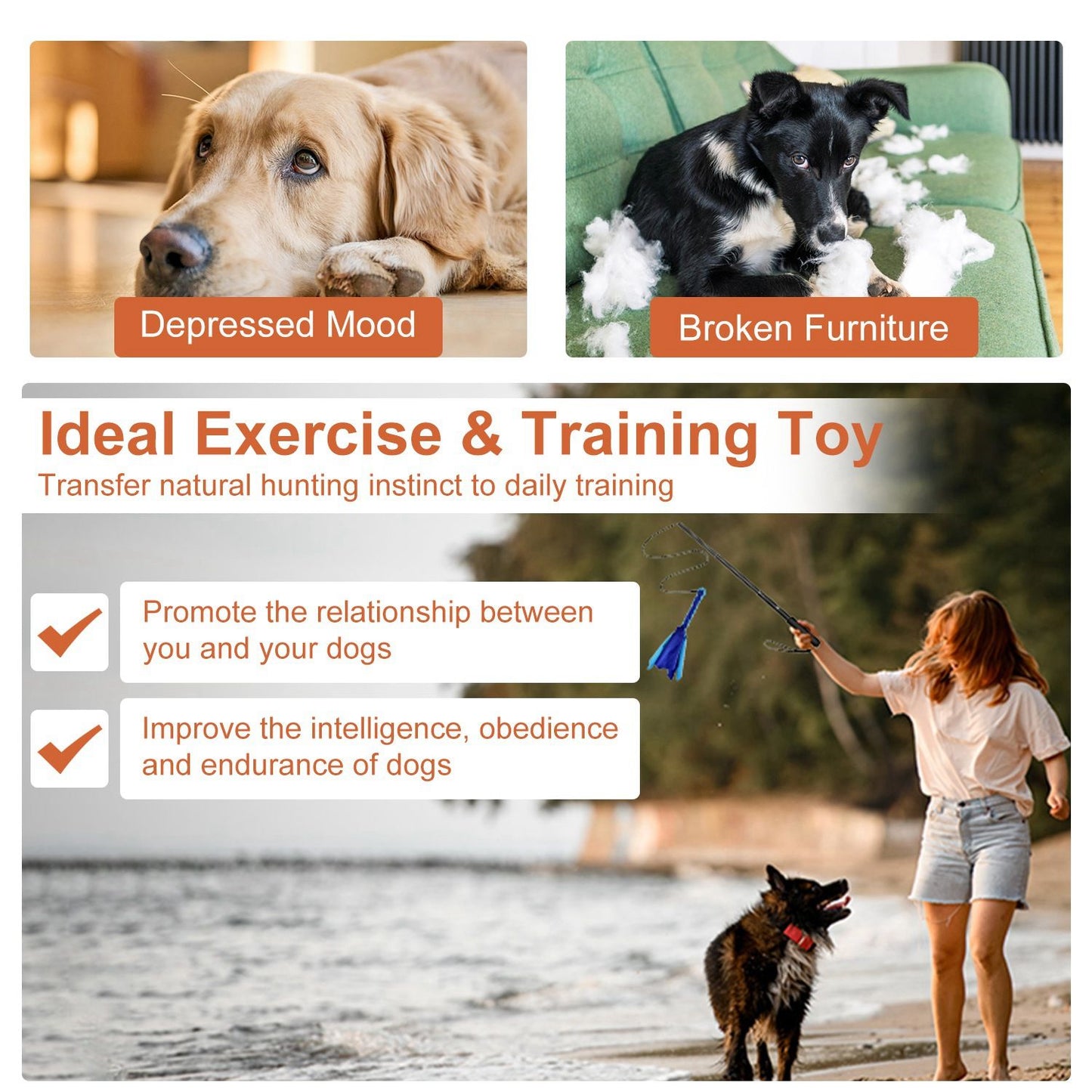 Promotional graphic showing flirt pole use on a beach with text about exercise, training and improved obedience