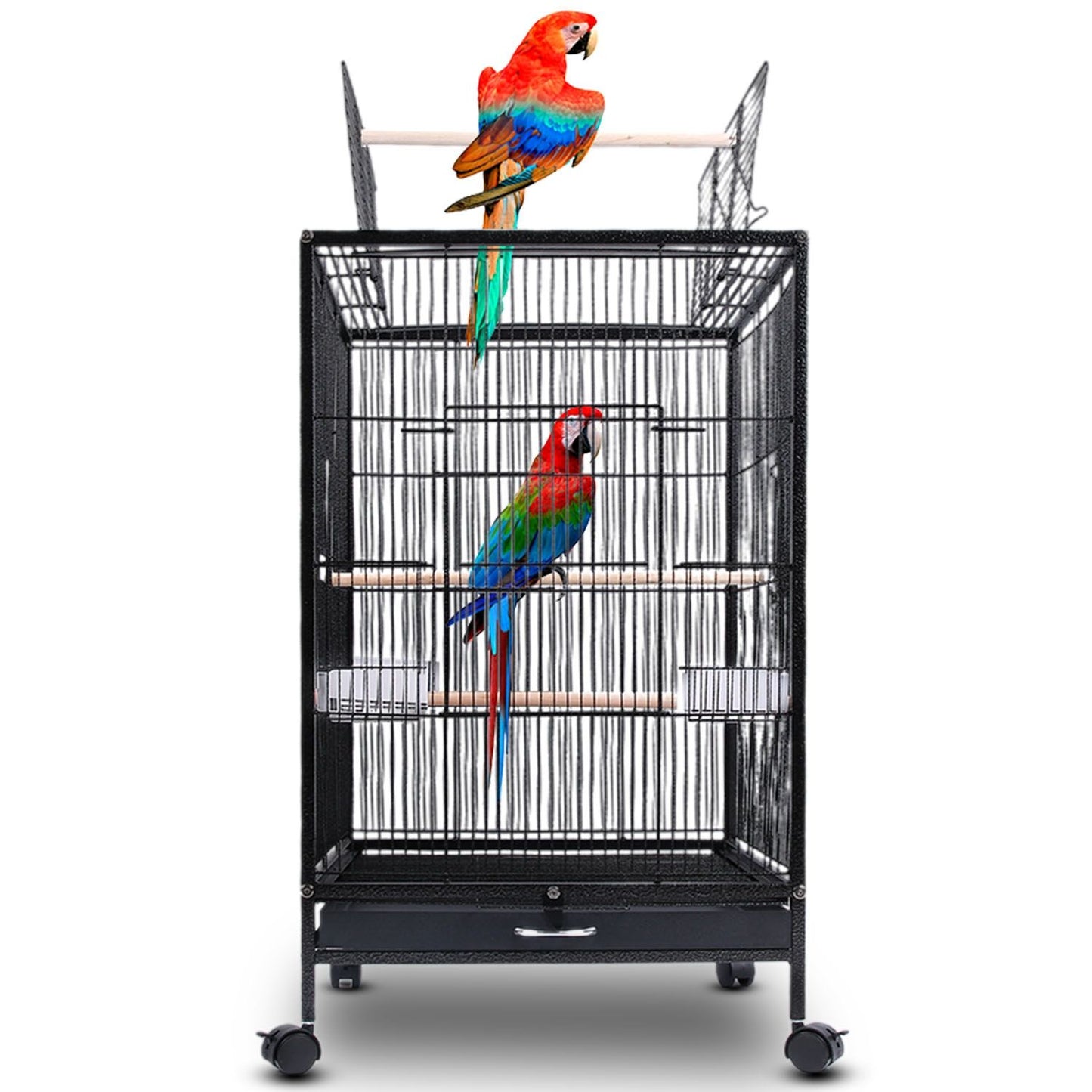 Front view of bird cage with parrot on top, interior perches, food cups, sliding tray and caster wheels