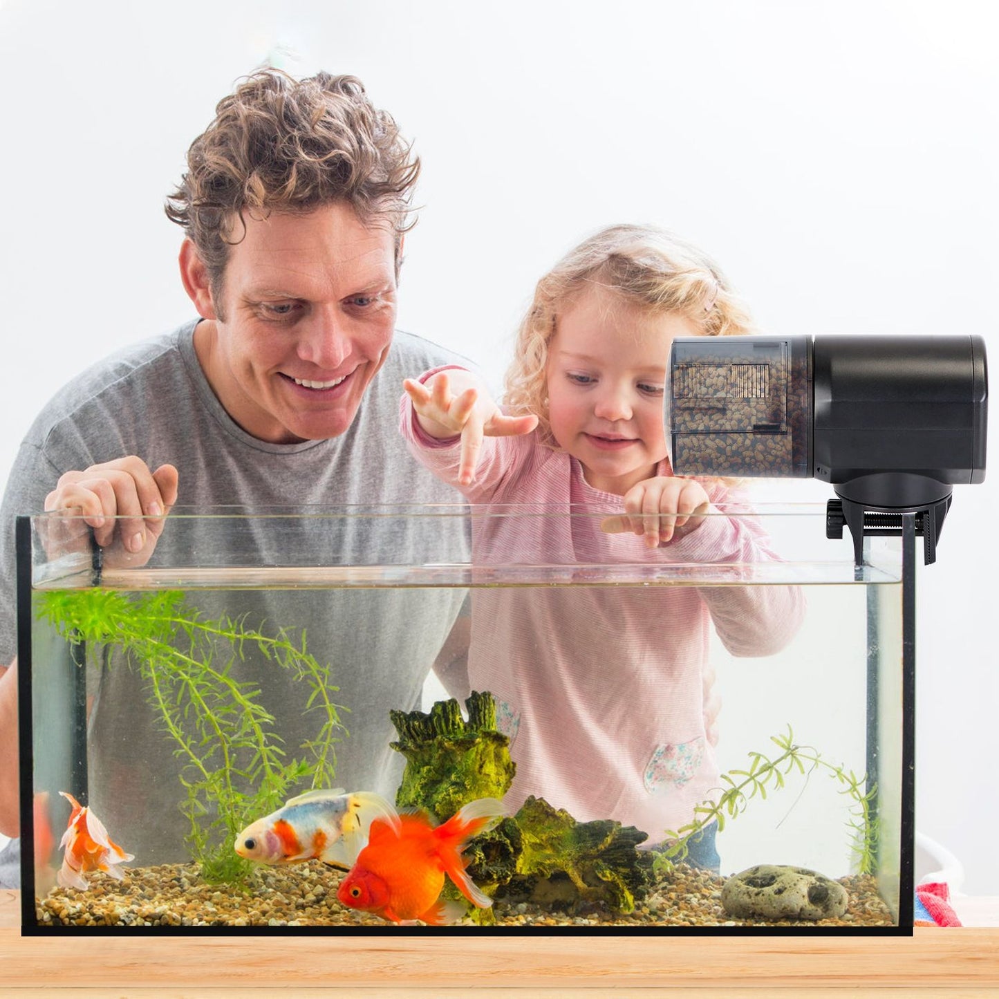 Feeder clipped to aquarium rim in home scene showing practical placement and use