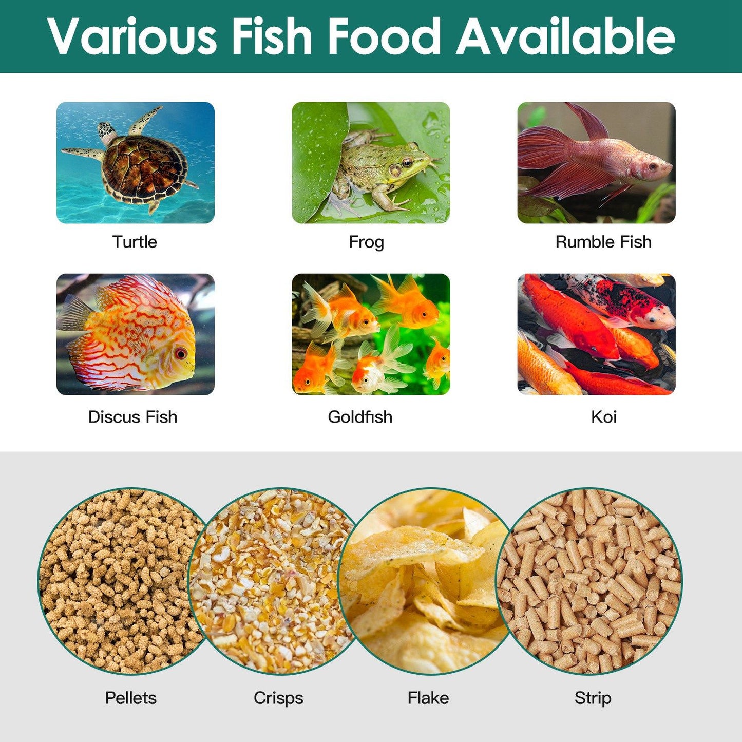 Graphic of compatible fish species and food types including pellets, flakes and strips for the feeder