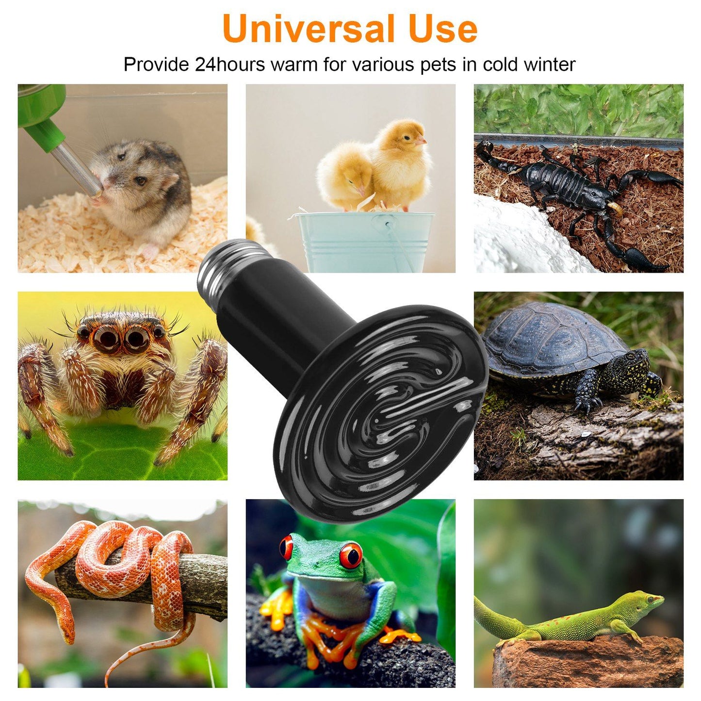 Ceramic reptile heat lamp displayed with animals it suits including snakes turtles frogs and chicks