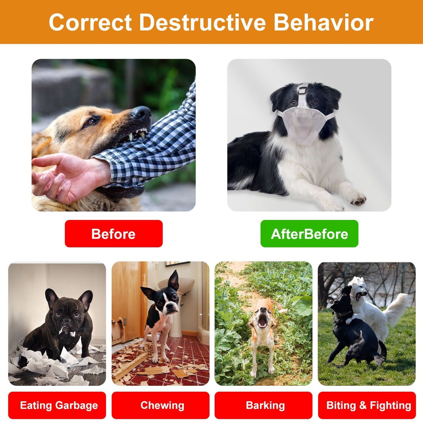 Infographic comparing destructive dog behaviors before and after using a muzzle