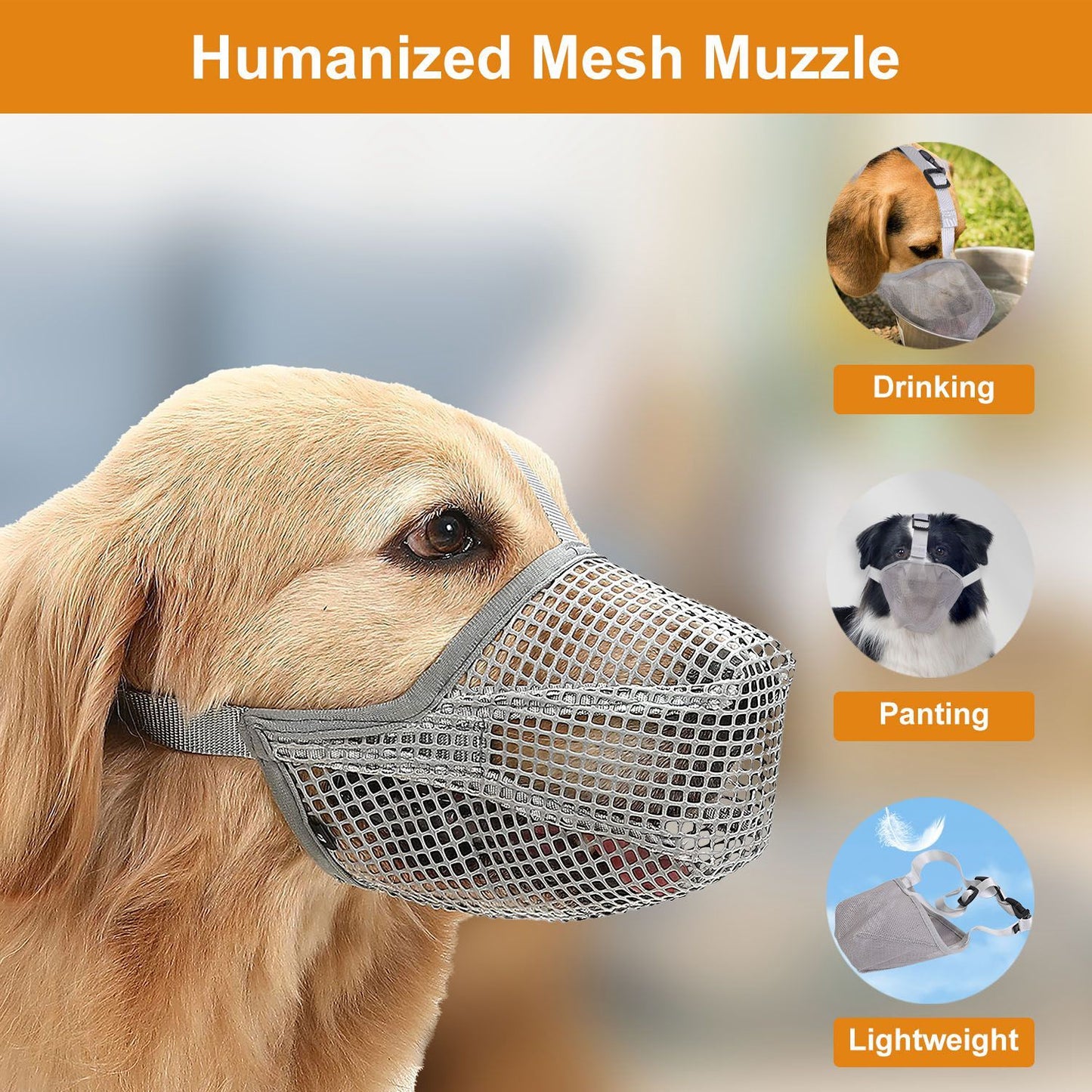Golden retriever in grey mesh muzzle highlighting full-snout coverage and breathable design