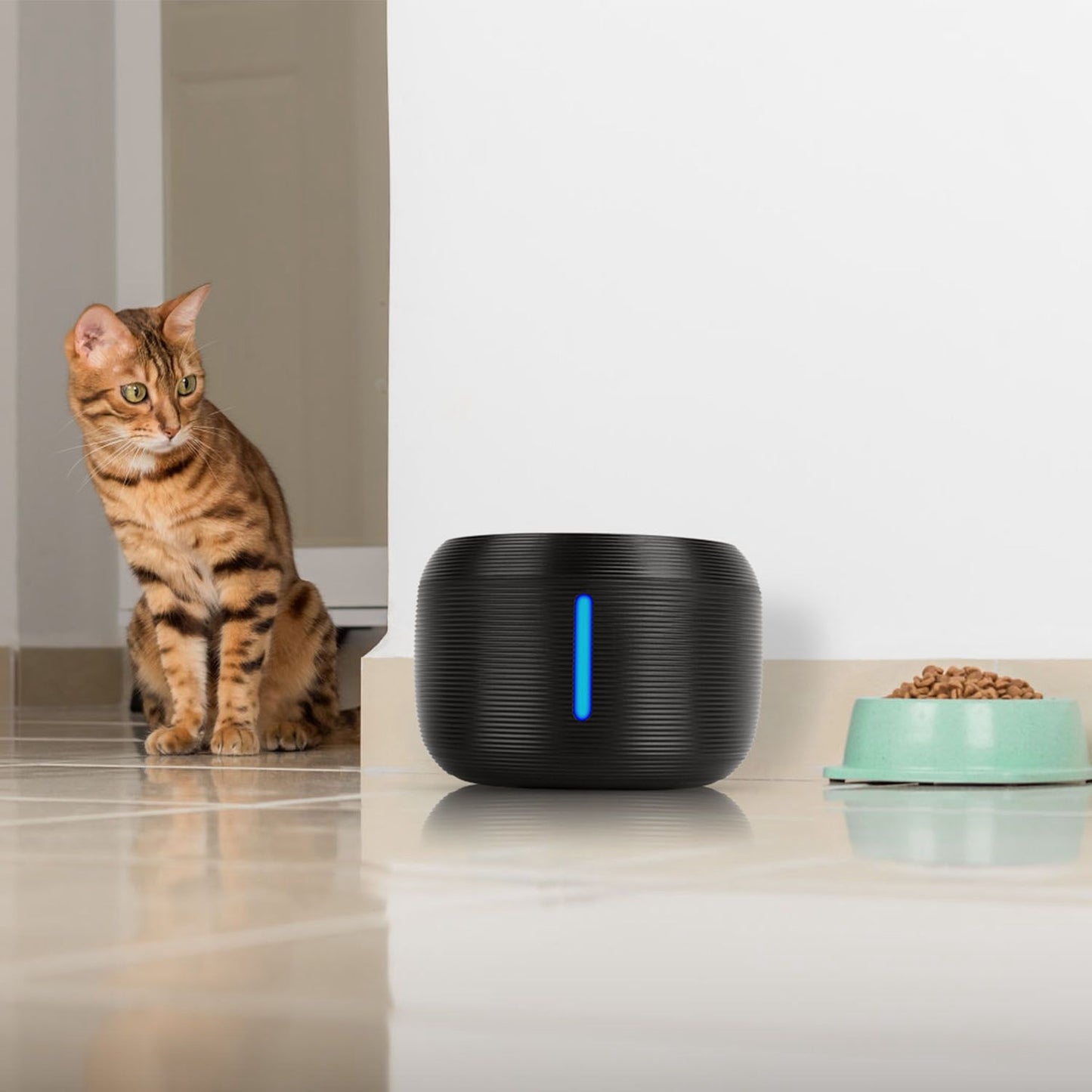 Pet water fountain beside food bowl on tiled floor with cat nearby