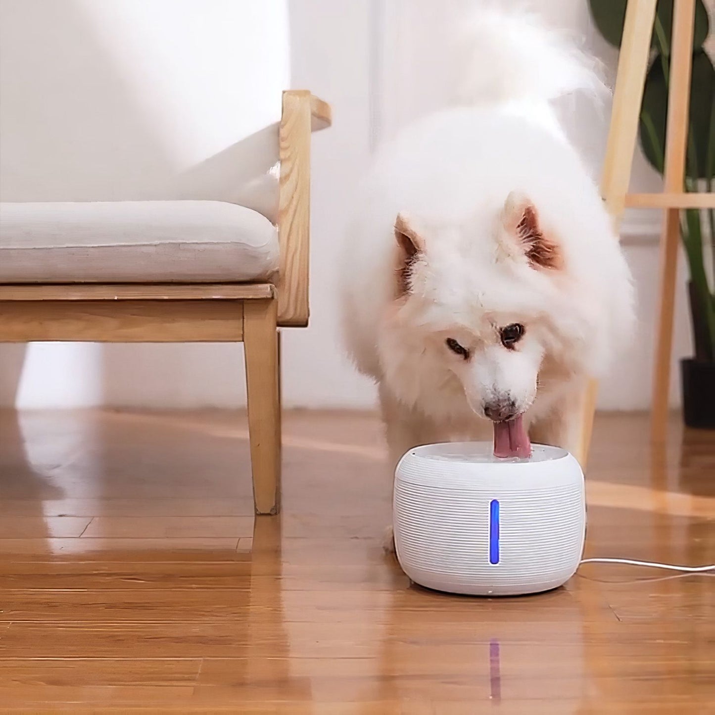 White pet fountain on wooden floor beside chair with visible water surface and lit LED window