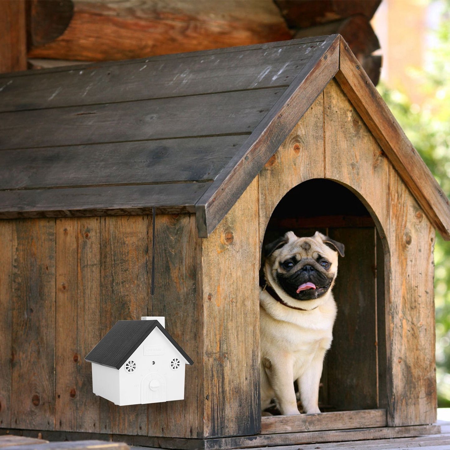 Device mounted on the outside of a wooden dog house with a dog visible inside the shelter