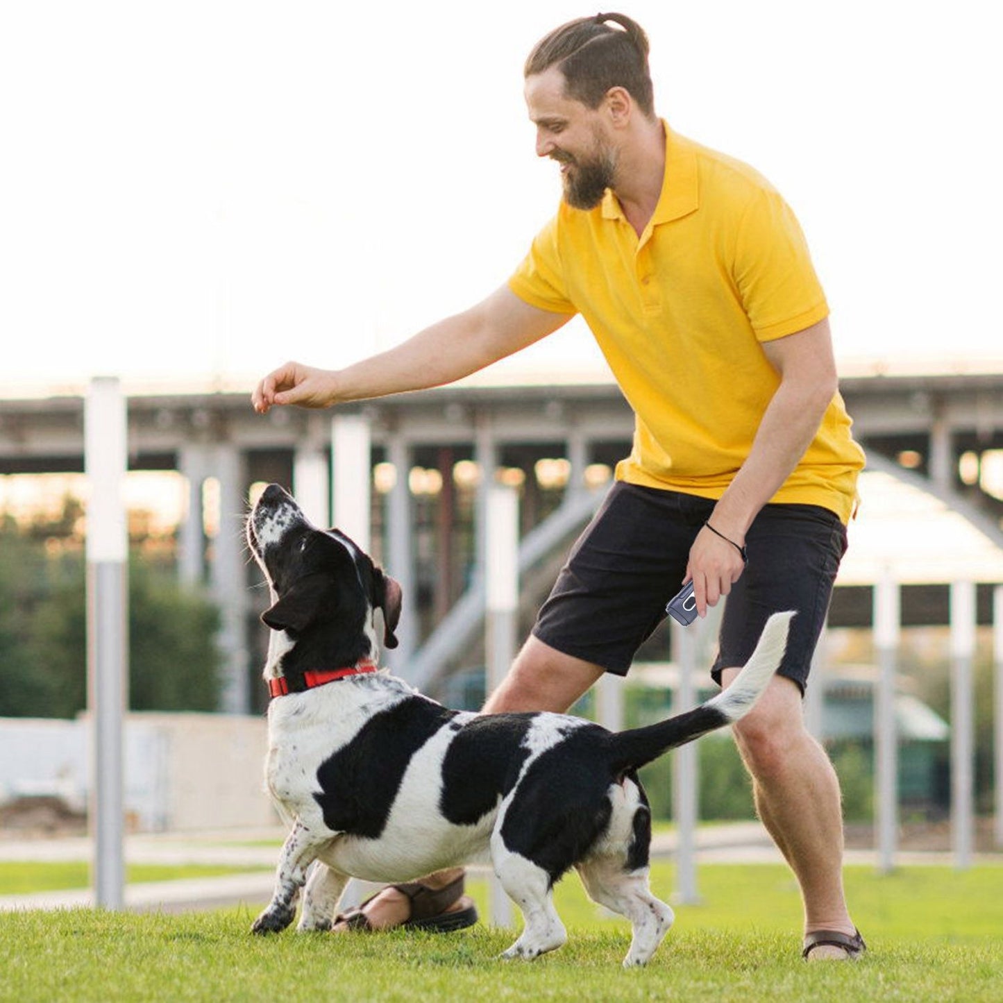 Person using handheld ultrasonic bark deterrent to train a black-and-white dog outdoors