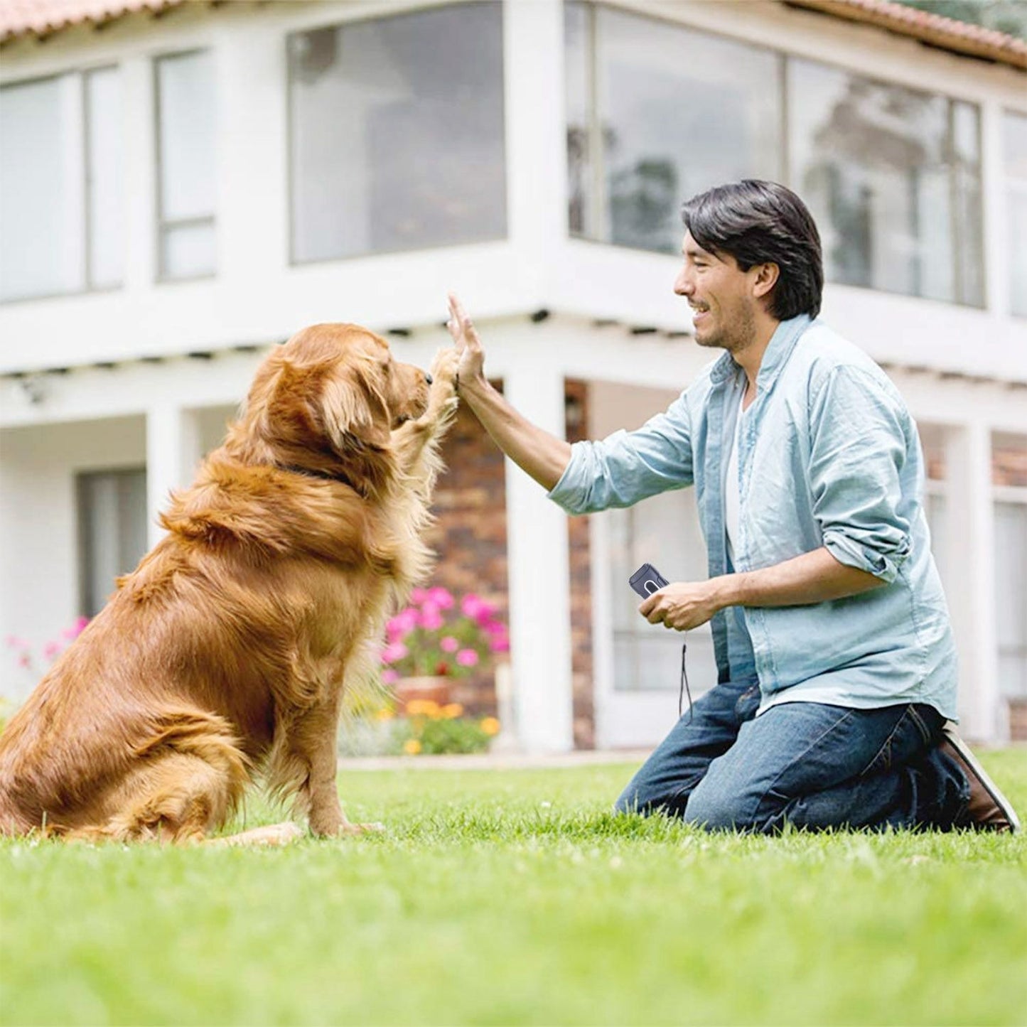 Person kneeling on grass using handheld ultrasonic device to train a golden retriever outdoors