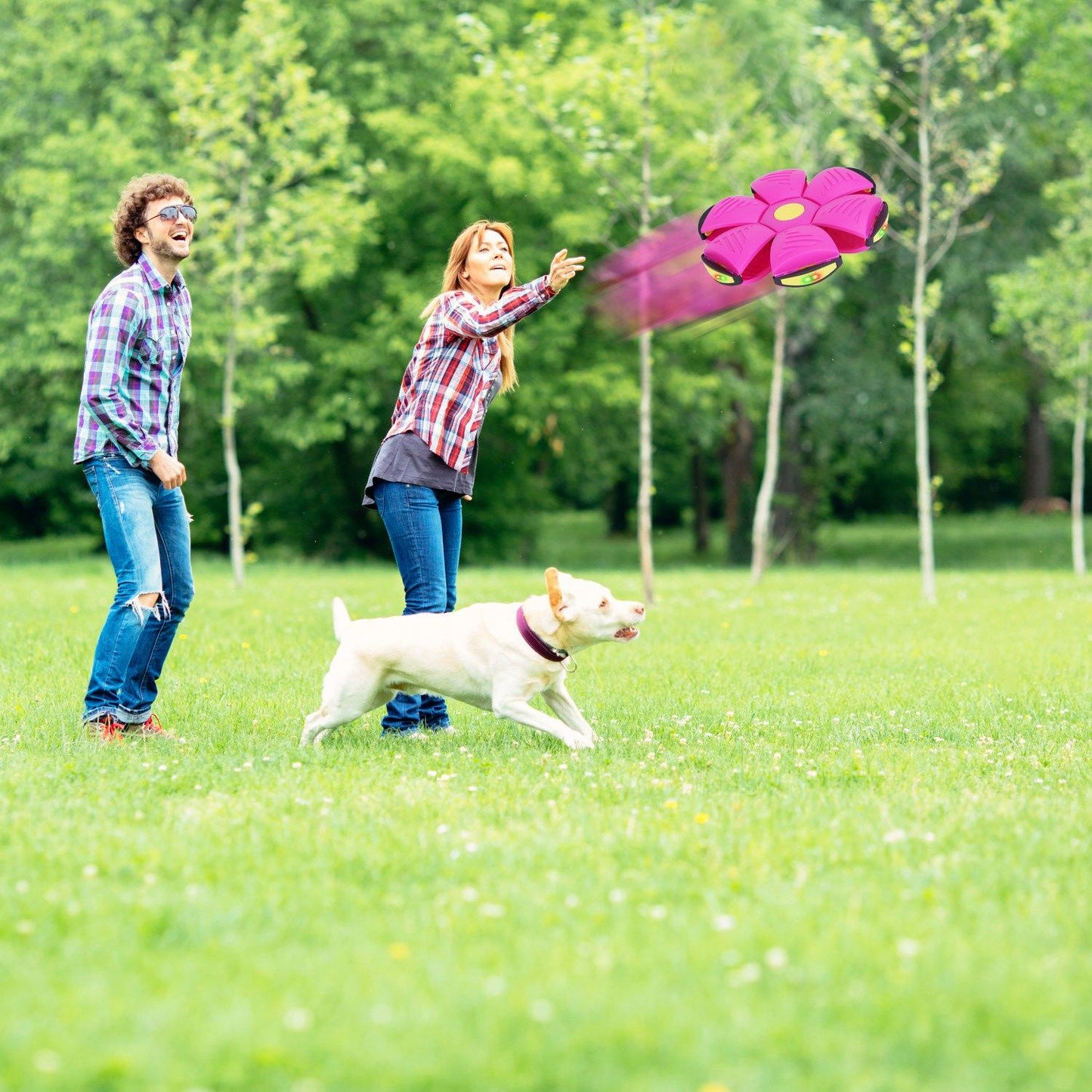 Person throwing pink flying saucer as dog chases it across a grassy field
