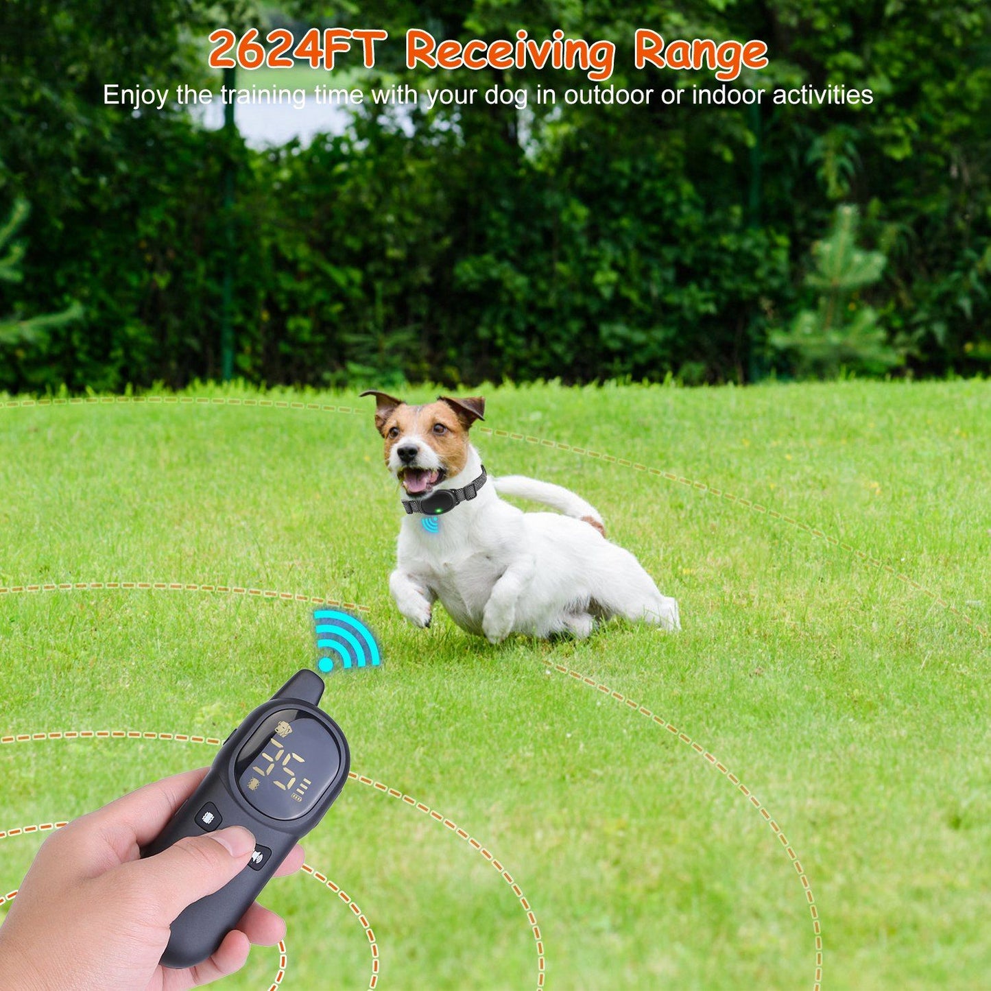 Handheld remote transmitting to dog wearing receiver collar in a grassy park