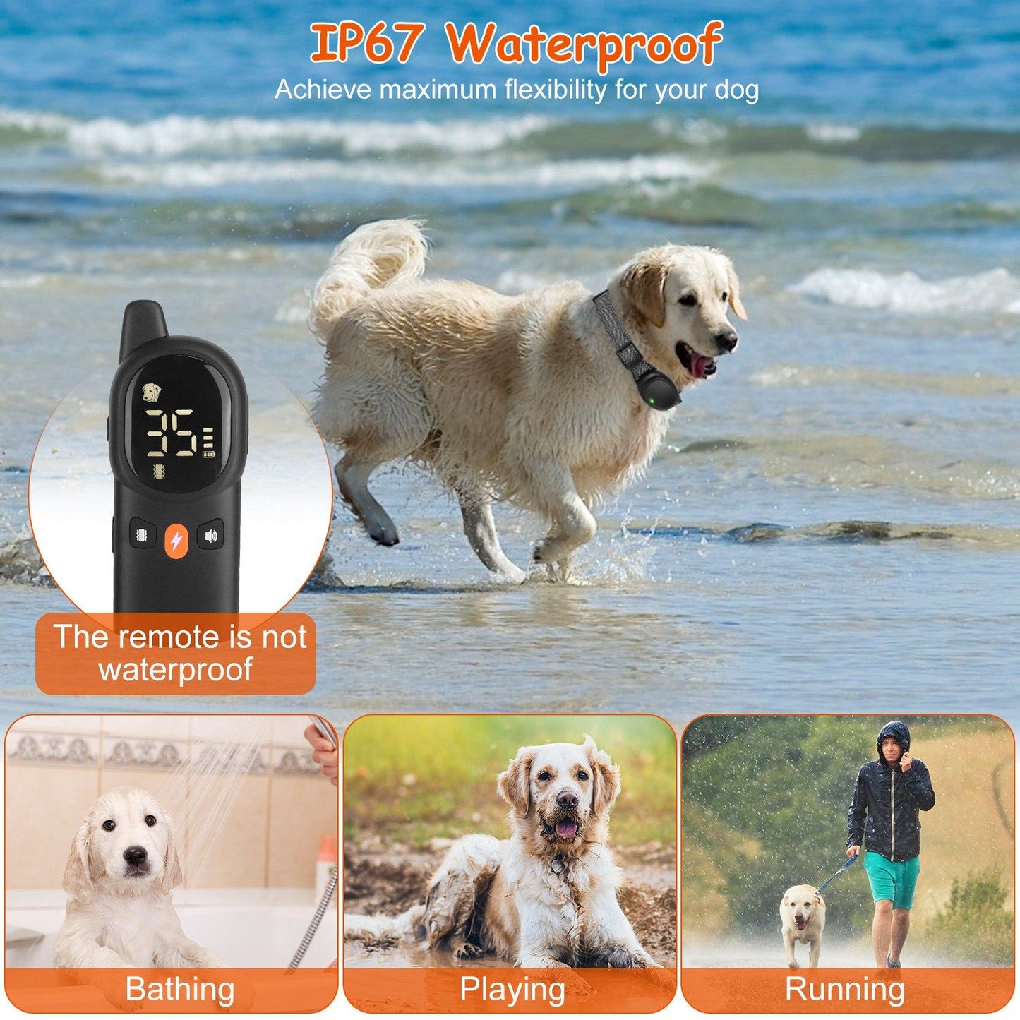 Dog on beach wearing waterproof receiver collar with closeups of collar LED and contact points