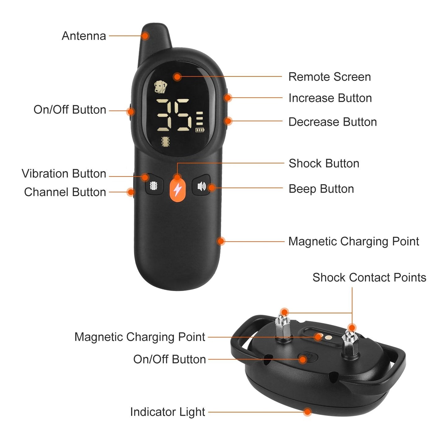 Labeled diagram of remote transmitter buttons and receiver contact points and charging locations