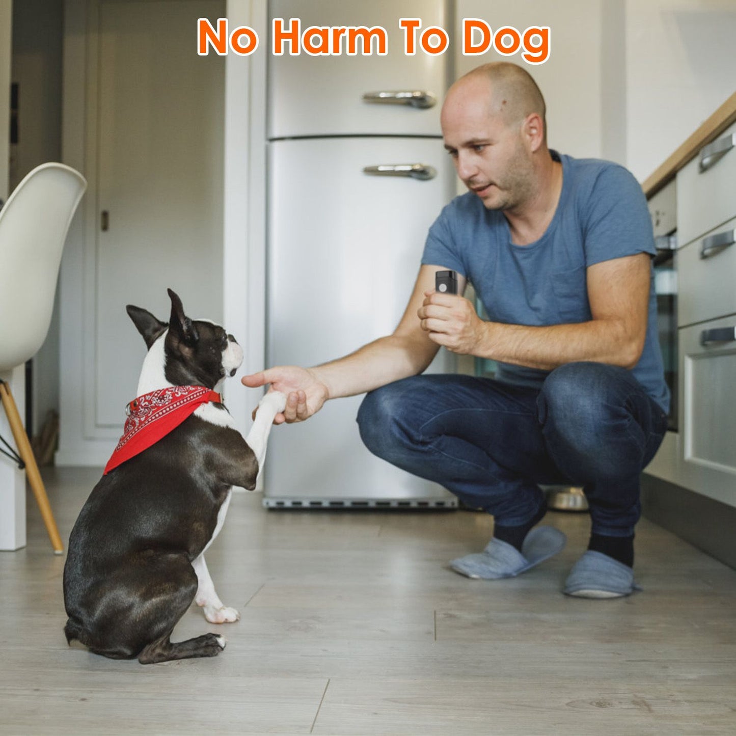 Indoor training scene of person kneeling and using the anti-bark device while a small dog offers a paw