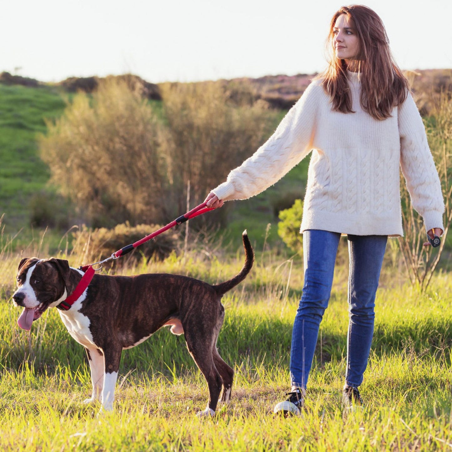 Woman walking a large dog in a meadow while holding a handheld ultrasonic anti-bark device