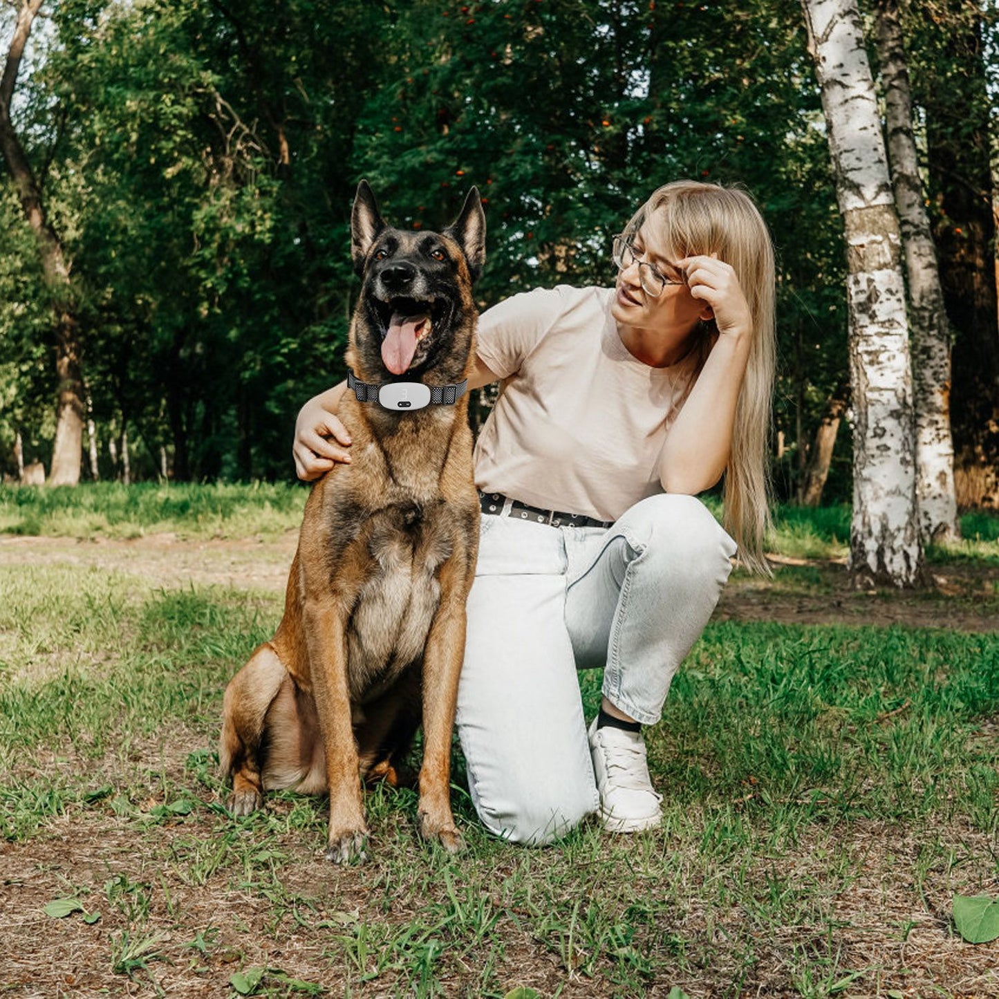 Person kneeling next to a German Shepherd wearing the training collar outdoors in a park