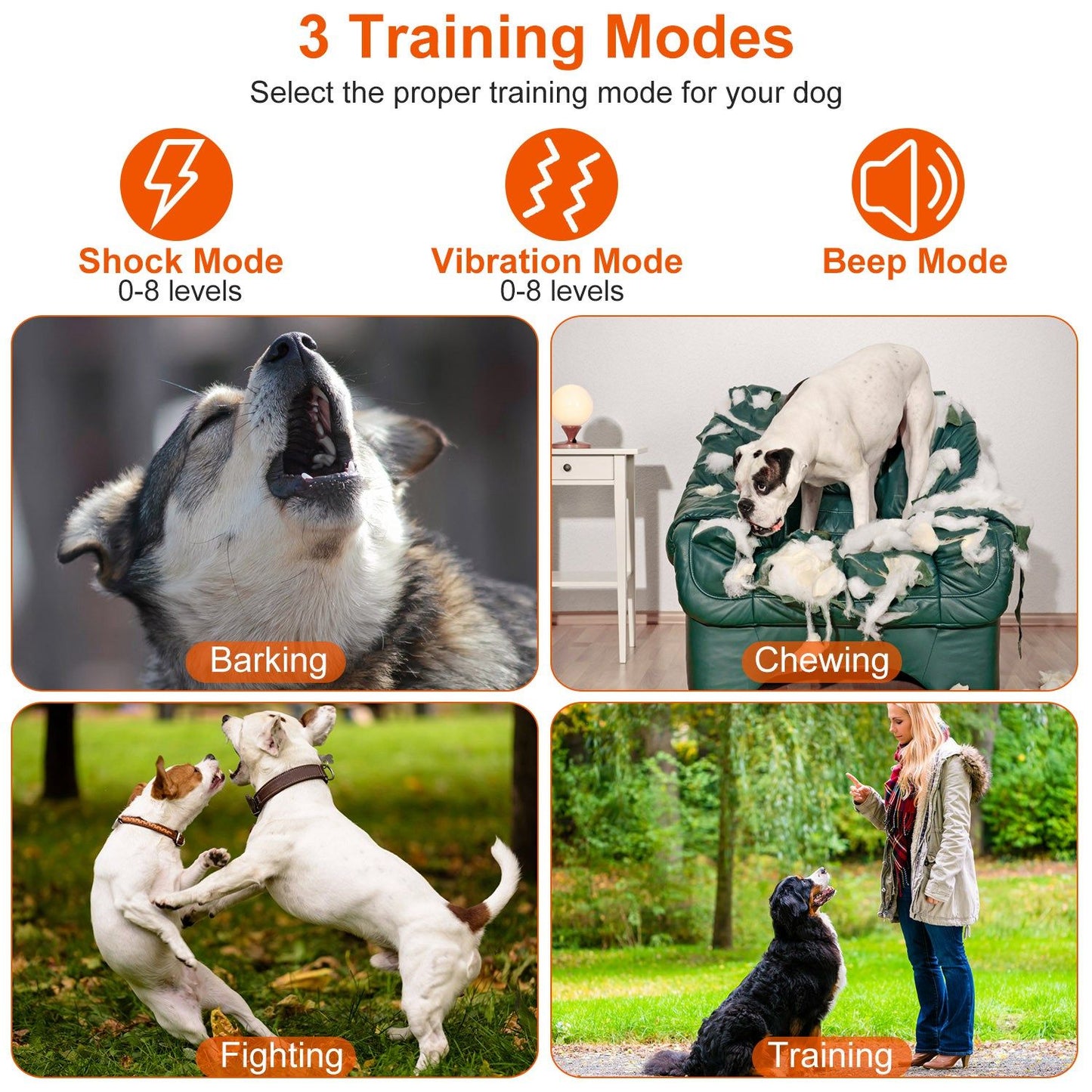 Graphic showing three training modes (shock, vibration, beep) with photos for barking, chewing, fighting and training