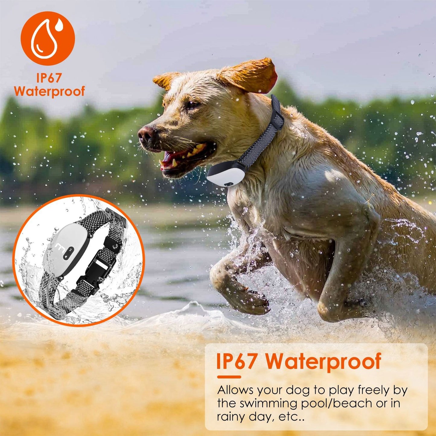 Dog wearing the collar splashing in water, highlighting IP67 waterproof performance