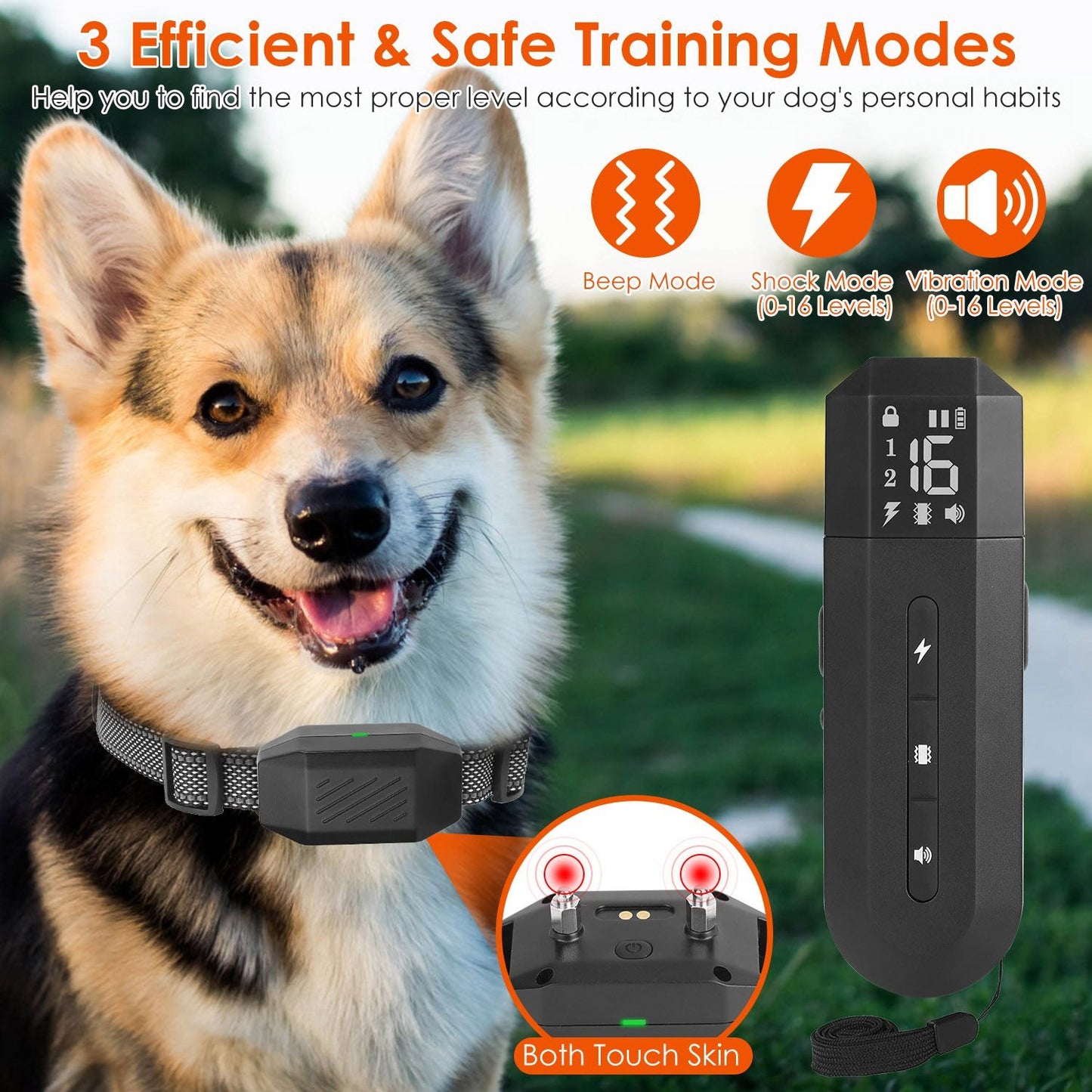 Infographic showing three training modes with remote and collar and contact point inset