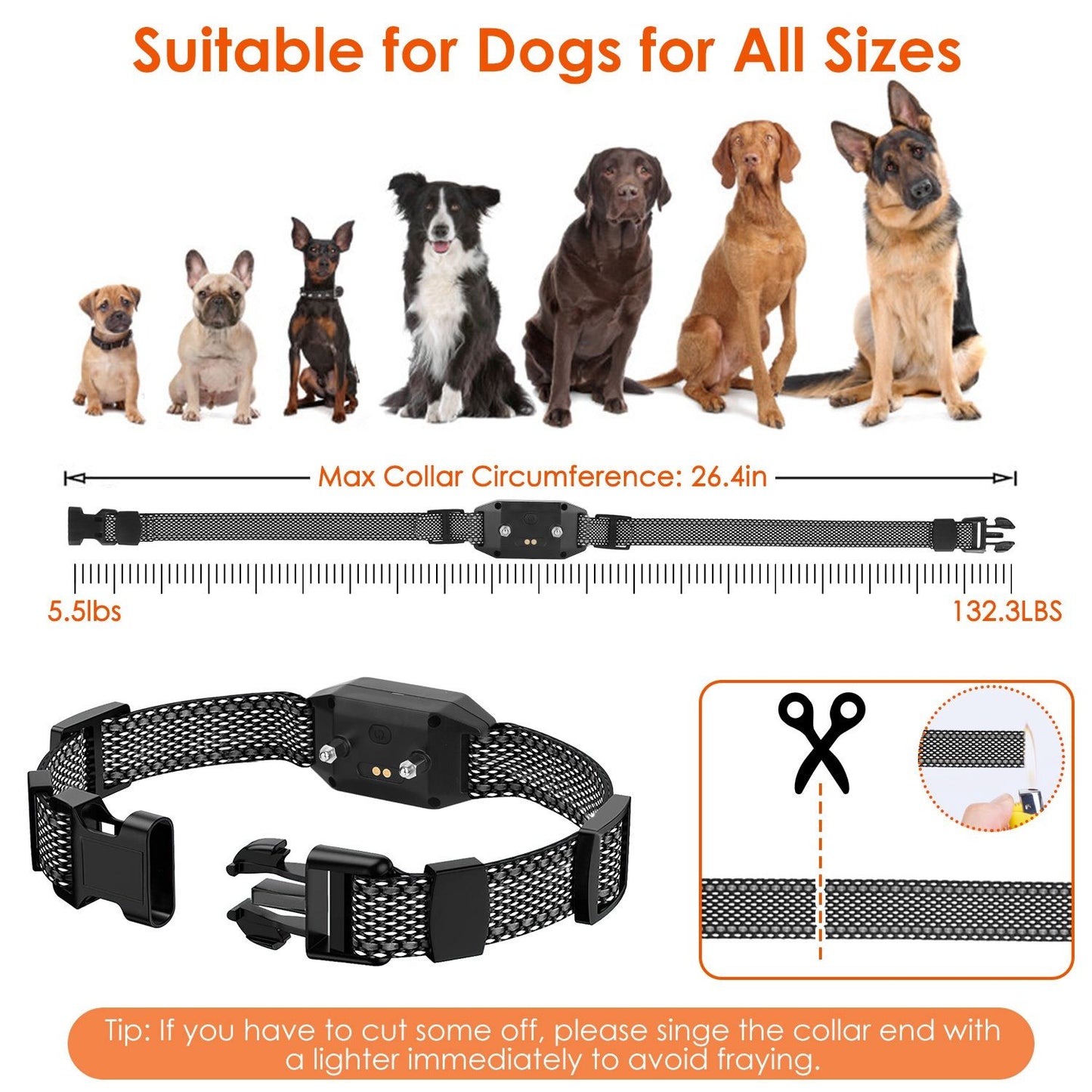 Collar laid flat with measurement scale and dog breed size examples showing max circumference