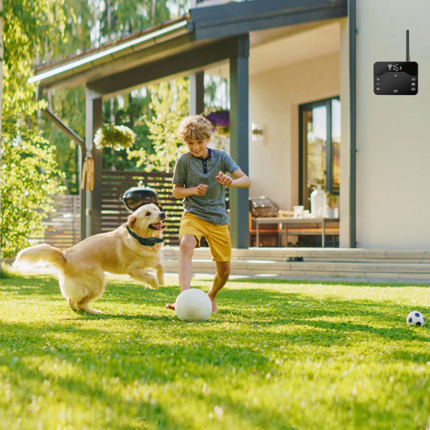 child playing soccer with golden retriever wearing containment collar and transmitter mounted on wall