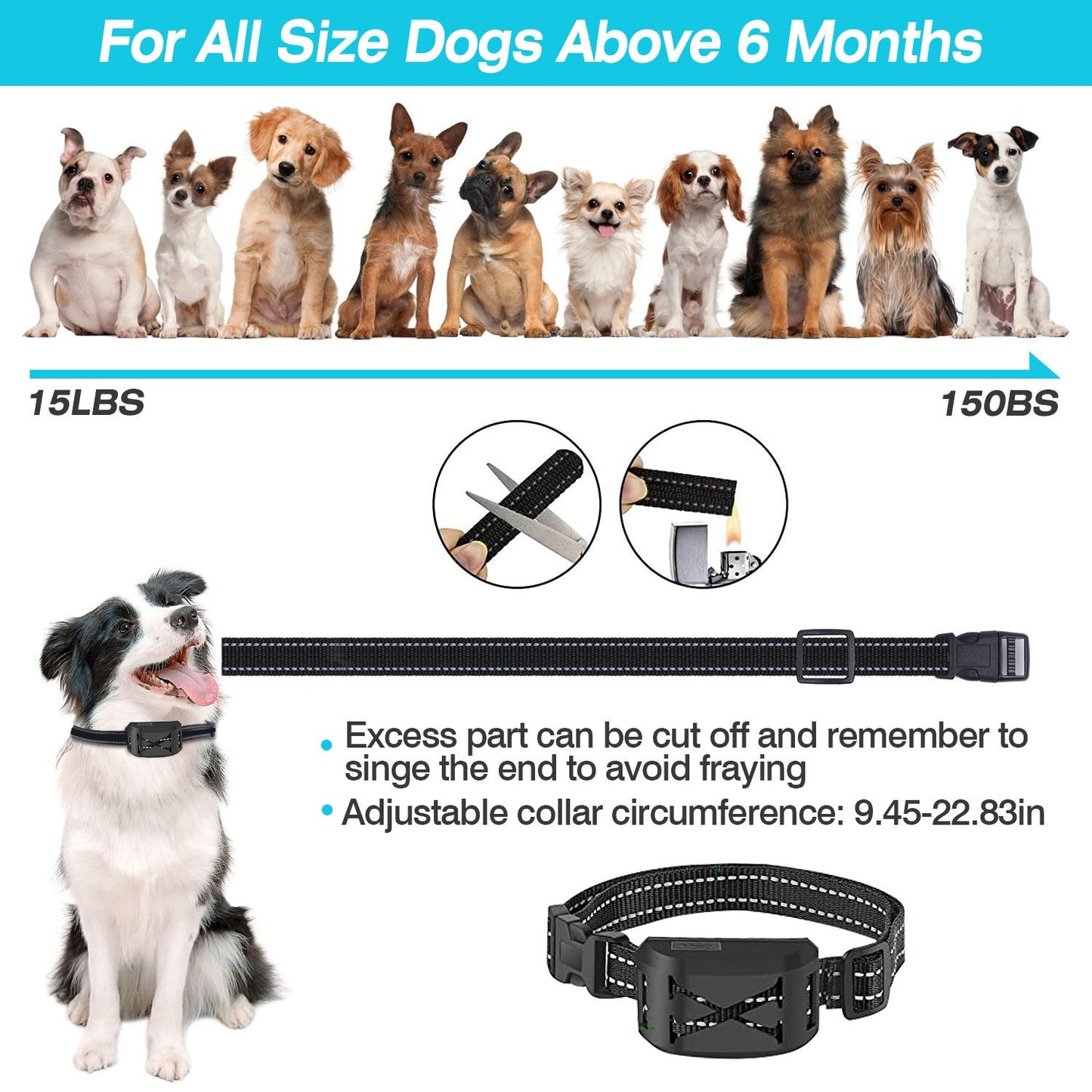 collar size guide showing various dog breeds adjustable strap and instructions to trim excess