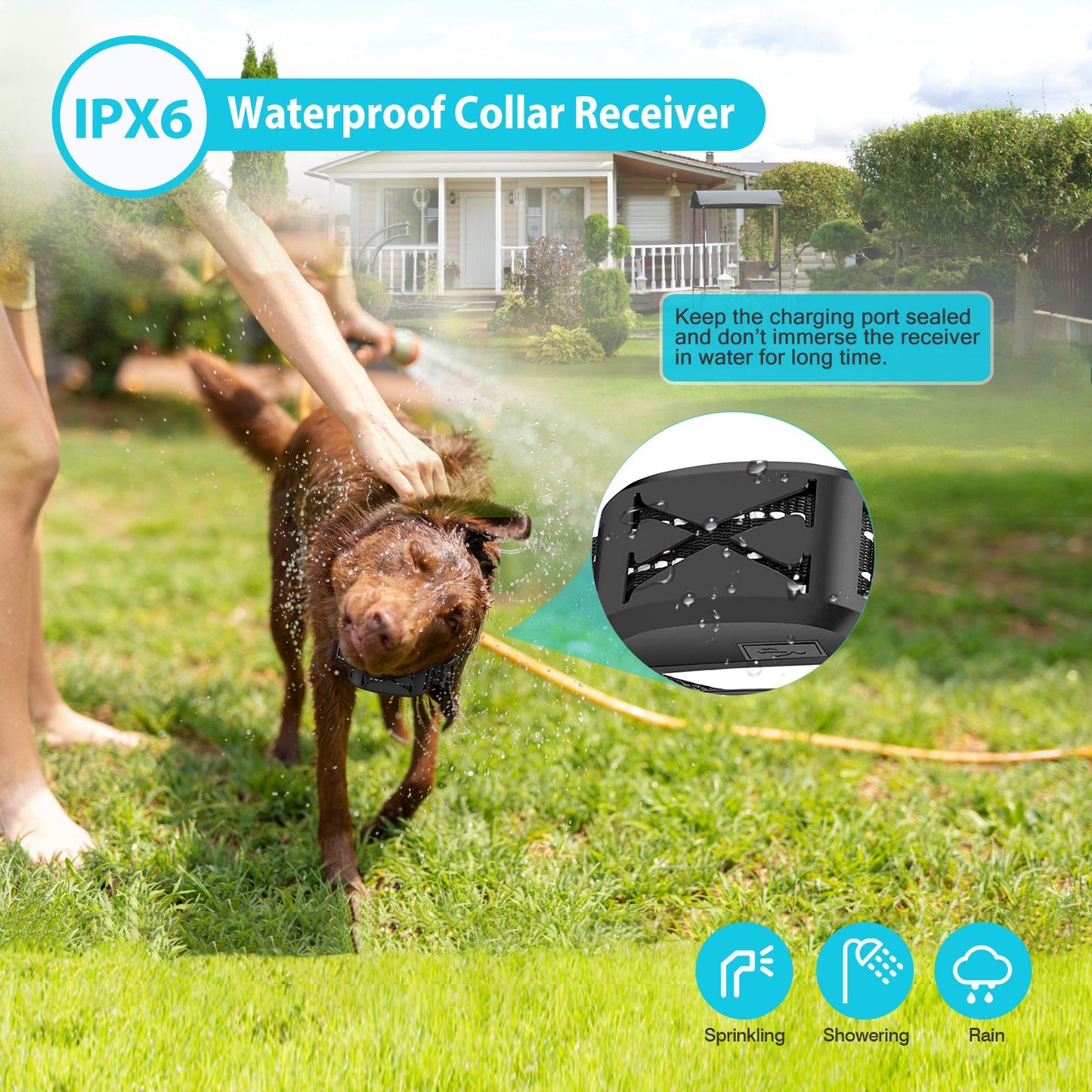 dog being sprayed with water wearing IPX6 waterproof receiver collar with close-up inset