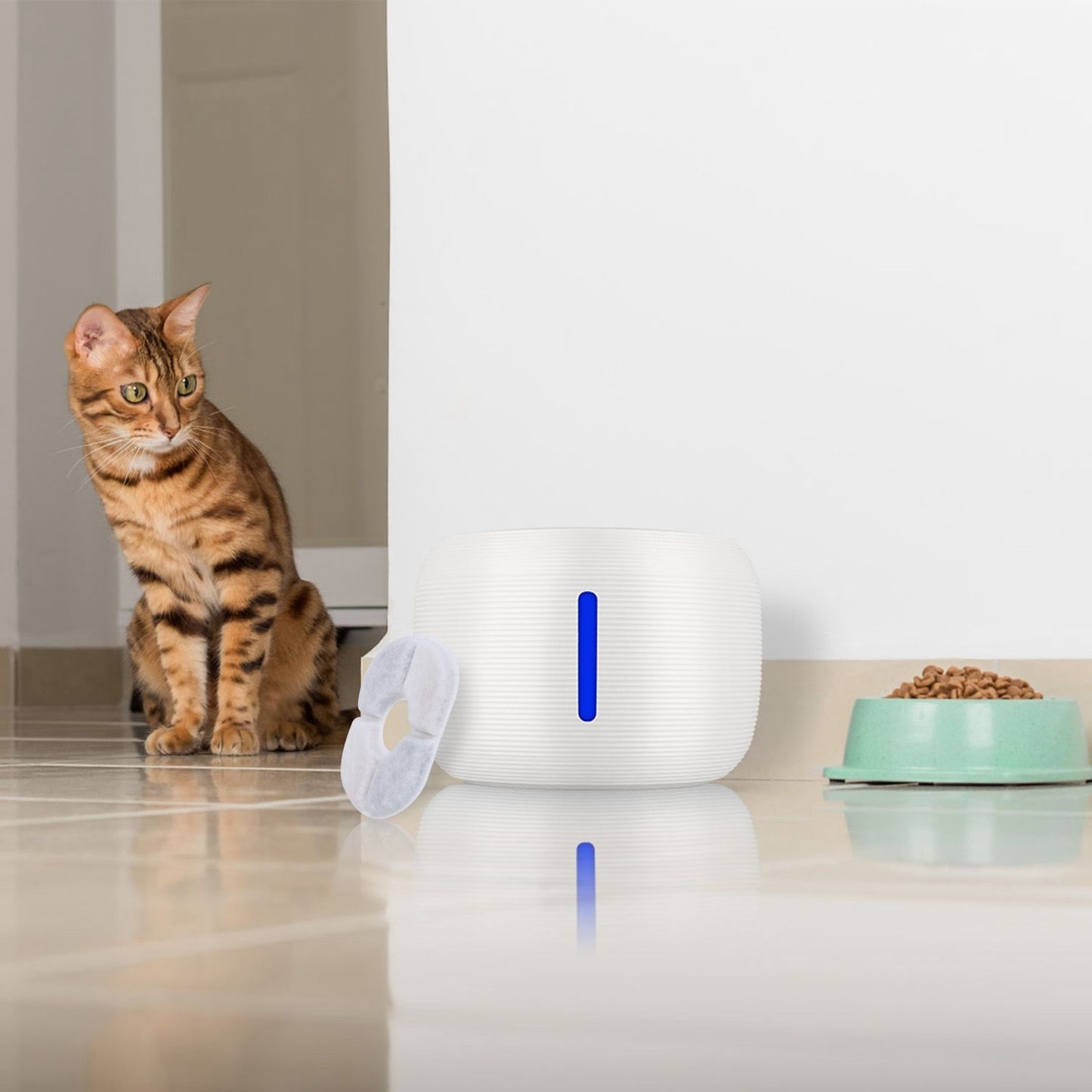 Tabby cat beside a white pet fountain with a replacement filter leaning on the unit and a food bowl nearby