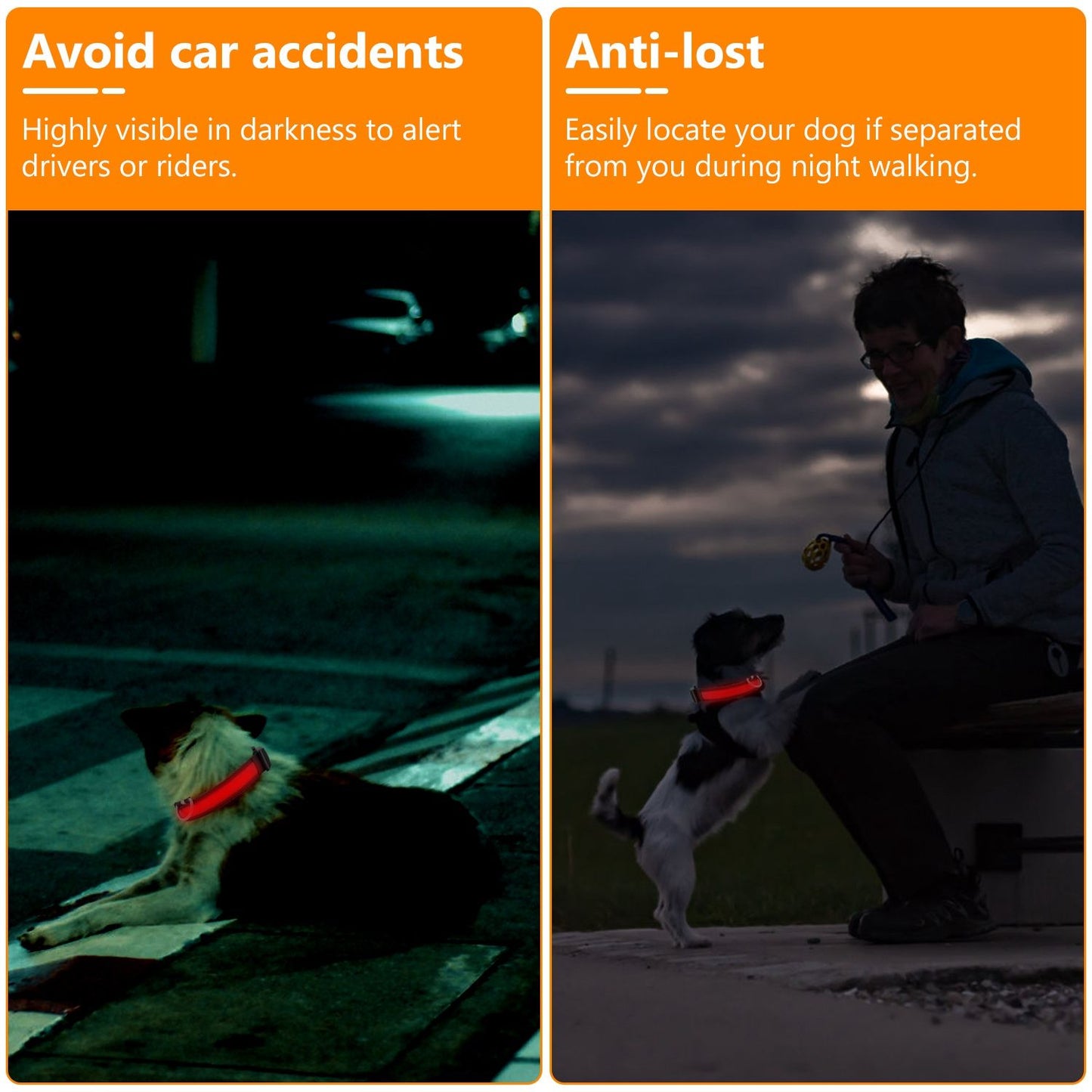 Marketing panels showing dogs with glowing collars to illustrate nighttime visibility and anti-lost benefits