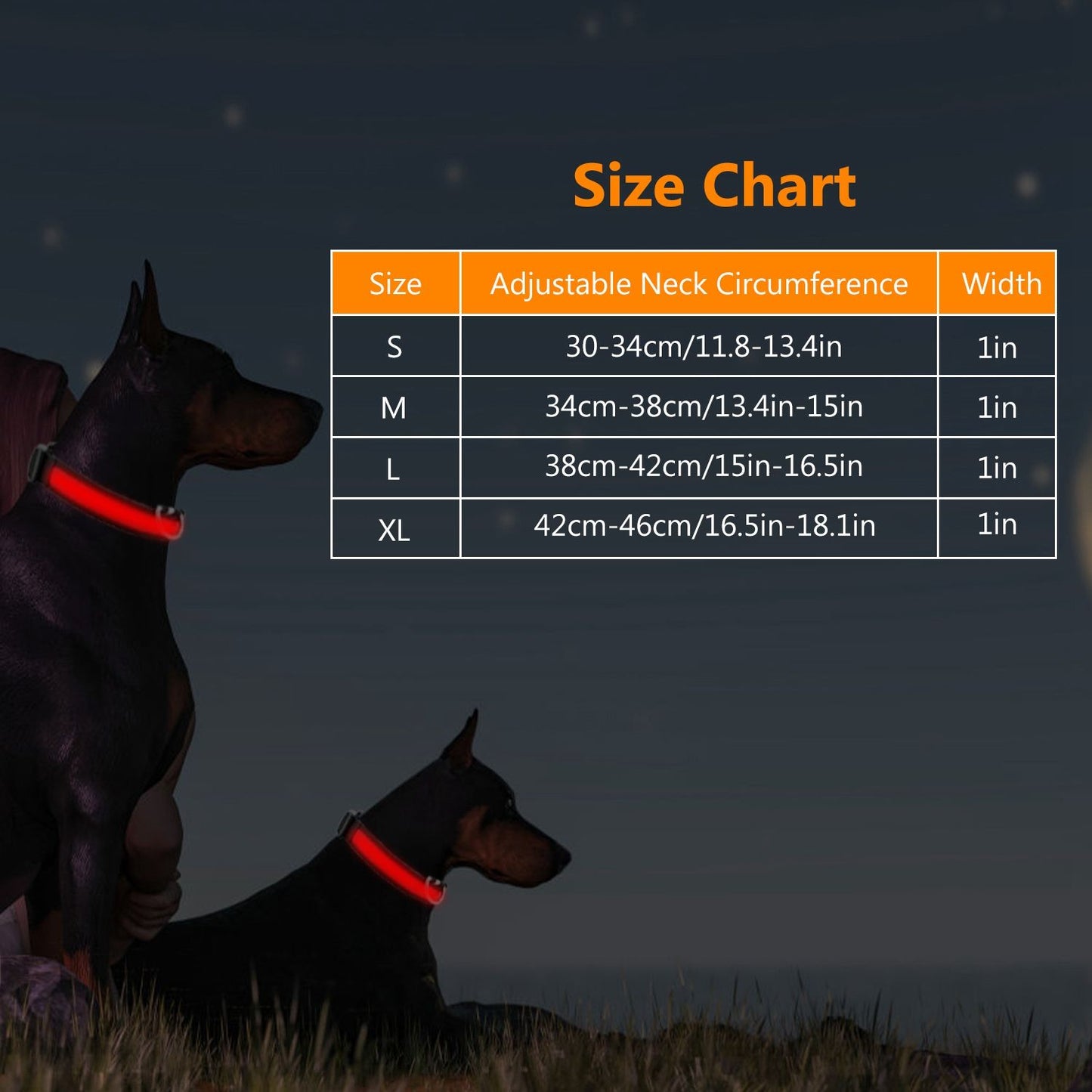 Size chart for LED dog collar with S M L XL measurements and 1 inch width