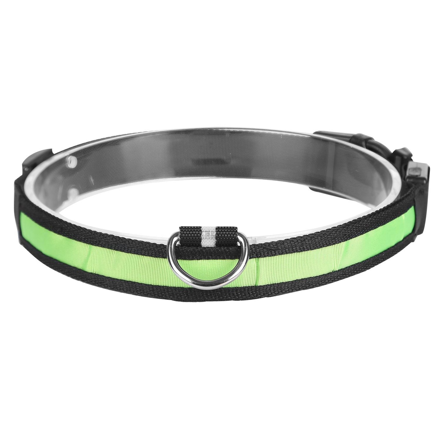 Front view of LED dog collar showing translucent LED tube, green strip, D-ring and buckle