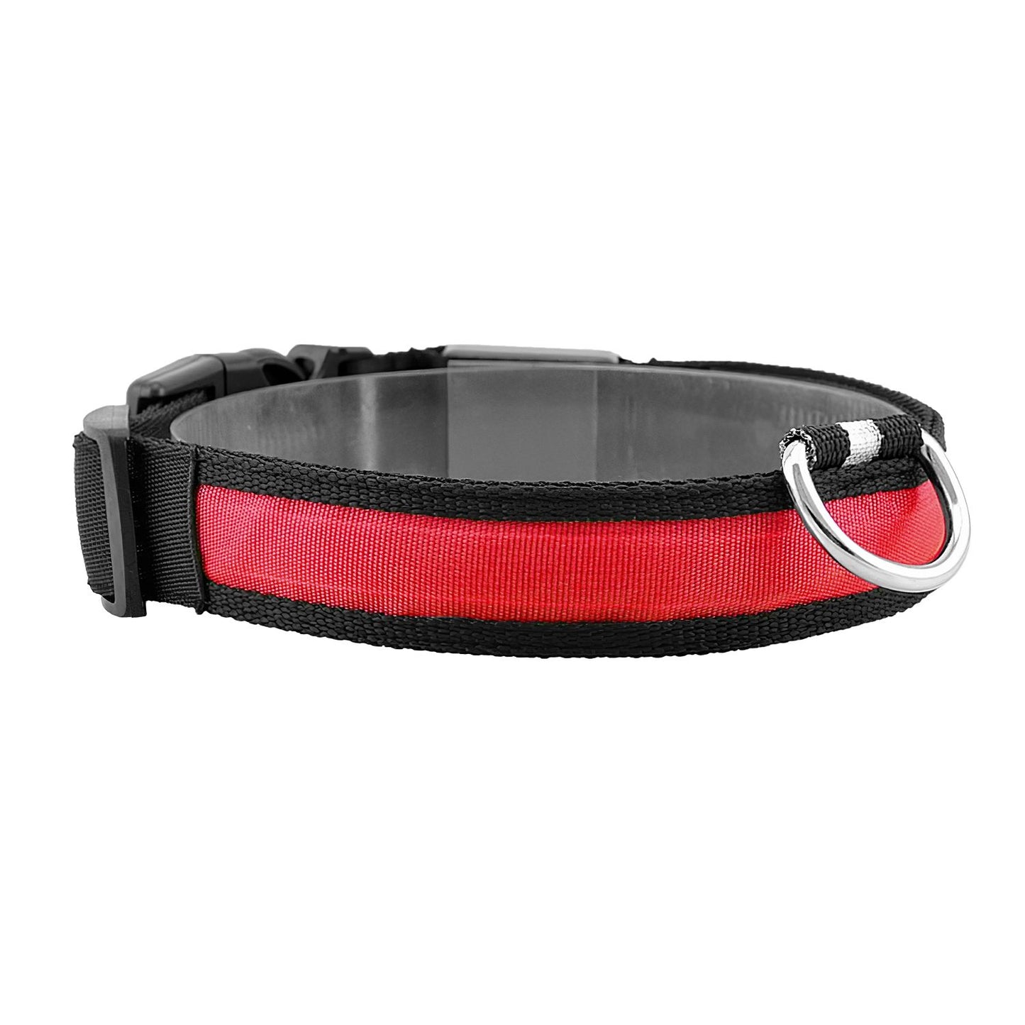 Red USB rechargeable LED dog collar with black trim, D-ring and adjustable buckle on white background