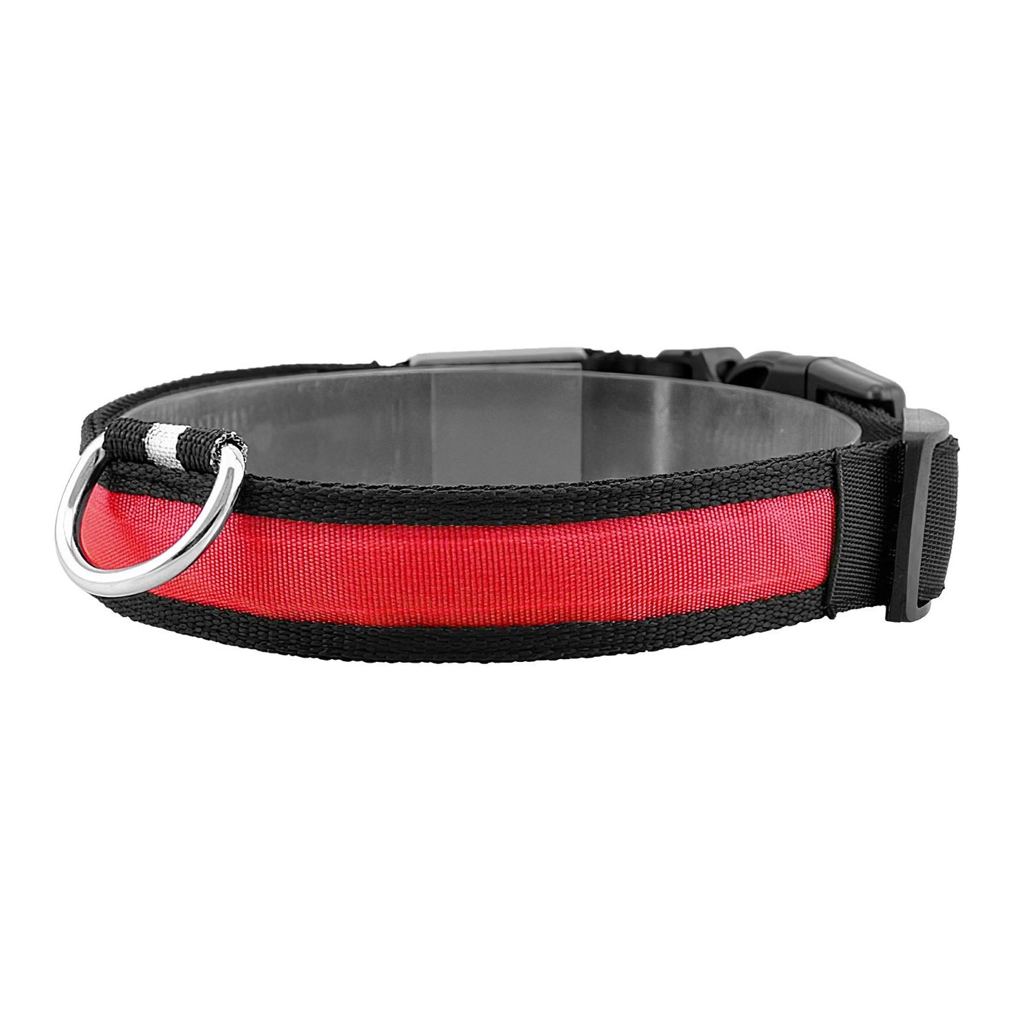 Angled red LED dog collar with metal D-ring and adjustable black buckle on white background