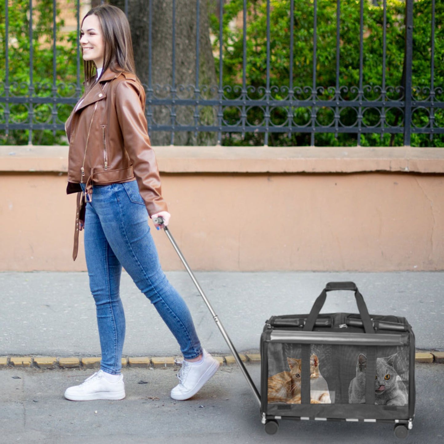 Person pulling rolling pet carrier along sidewalk with cats visible through mesh
