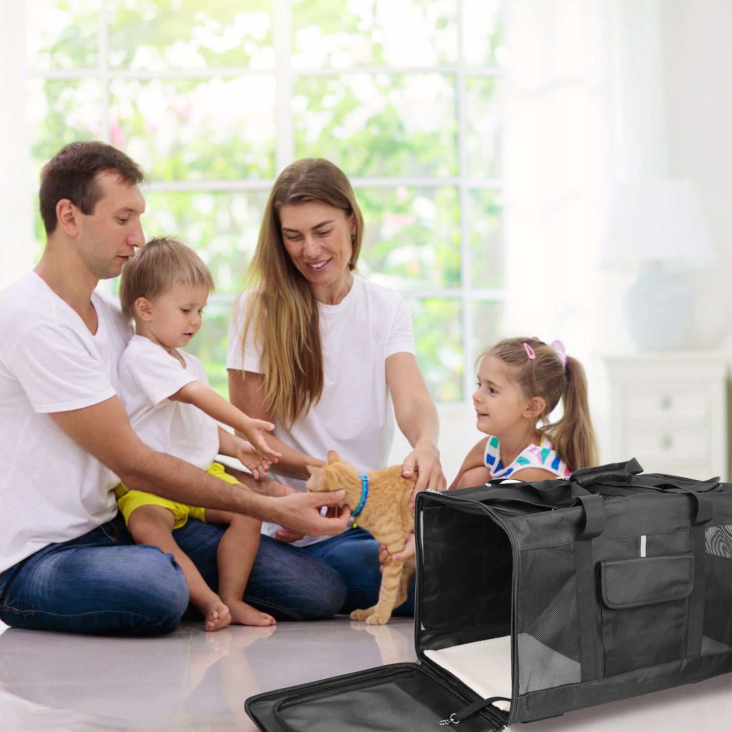 Open pet carrier at home with sleeping board removed while family interacts with cat