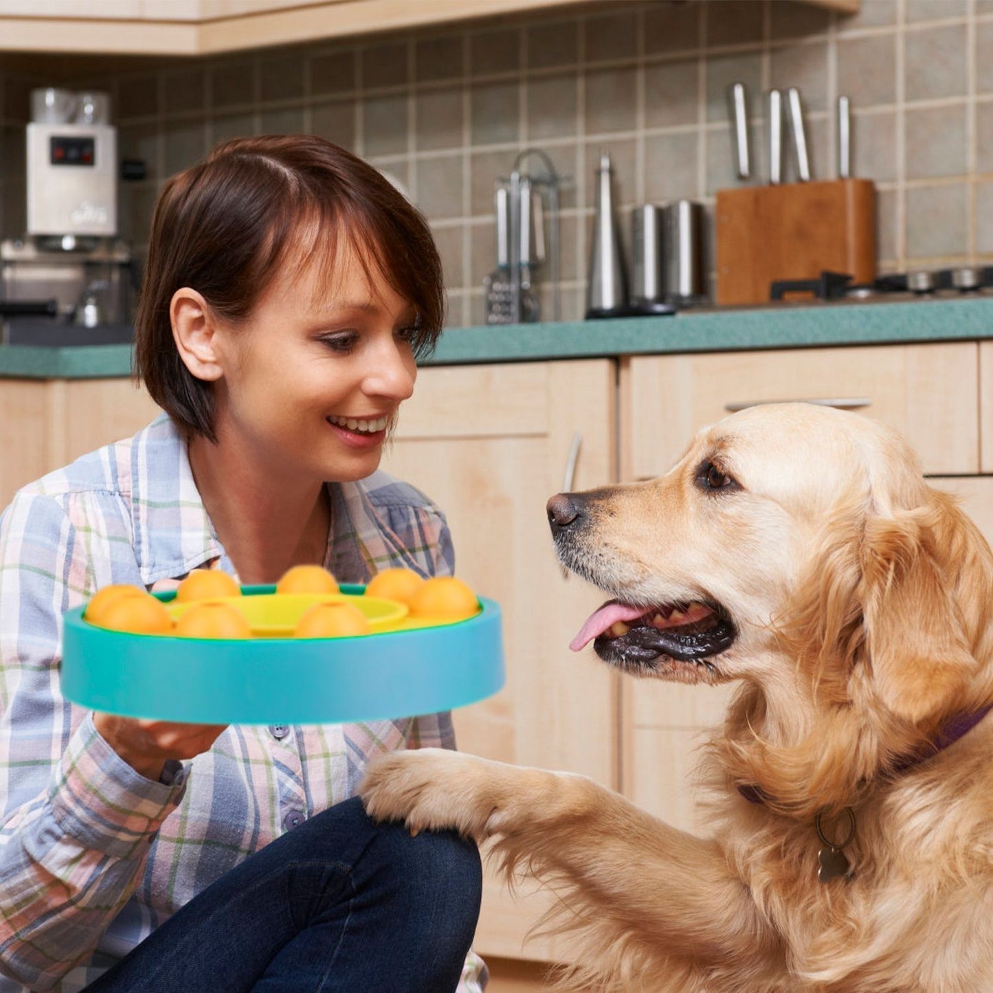 Person holding blue puzzle feeder while golden retriever reaches forward in a kitchen
