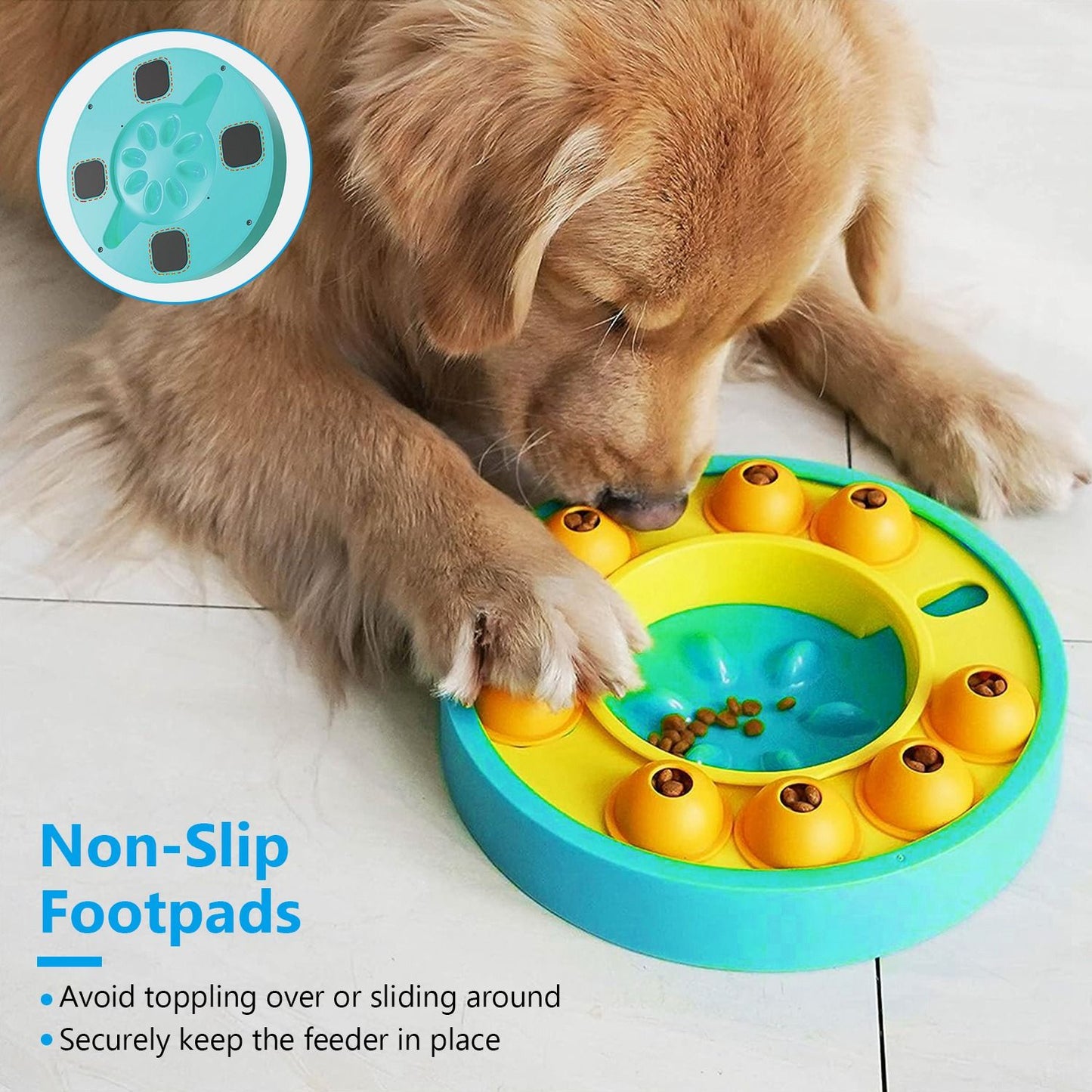 Close view of dog paw interacting with feeder highlighting anti-slip footpads and pushable granaries
